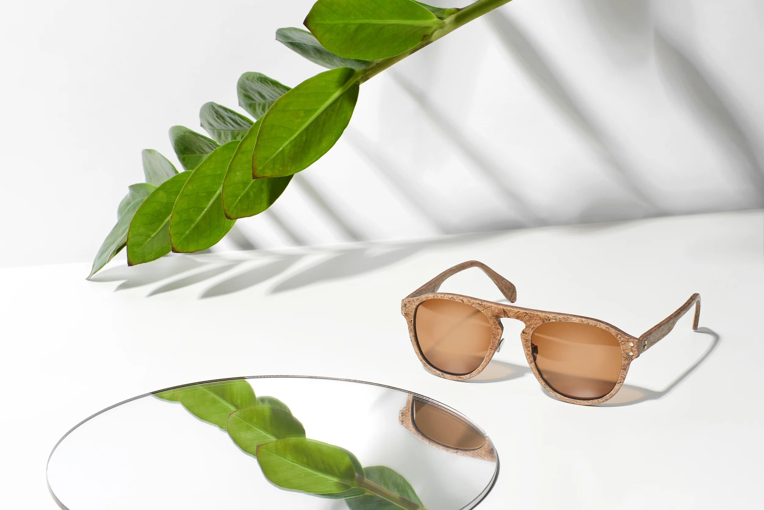 MBeech_Hemp_Web_05.jpg