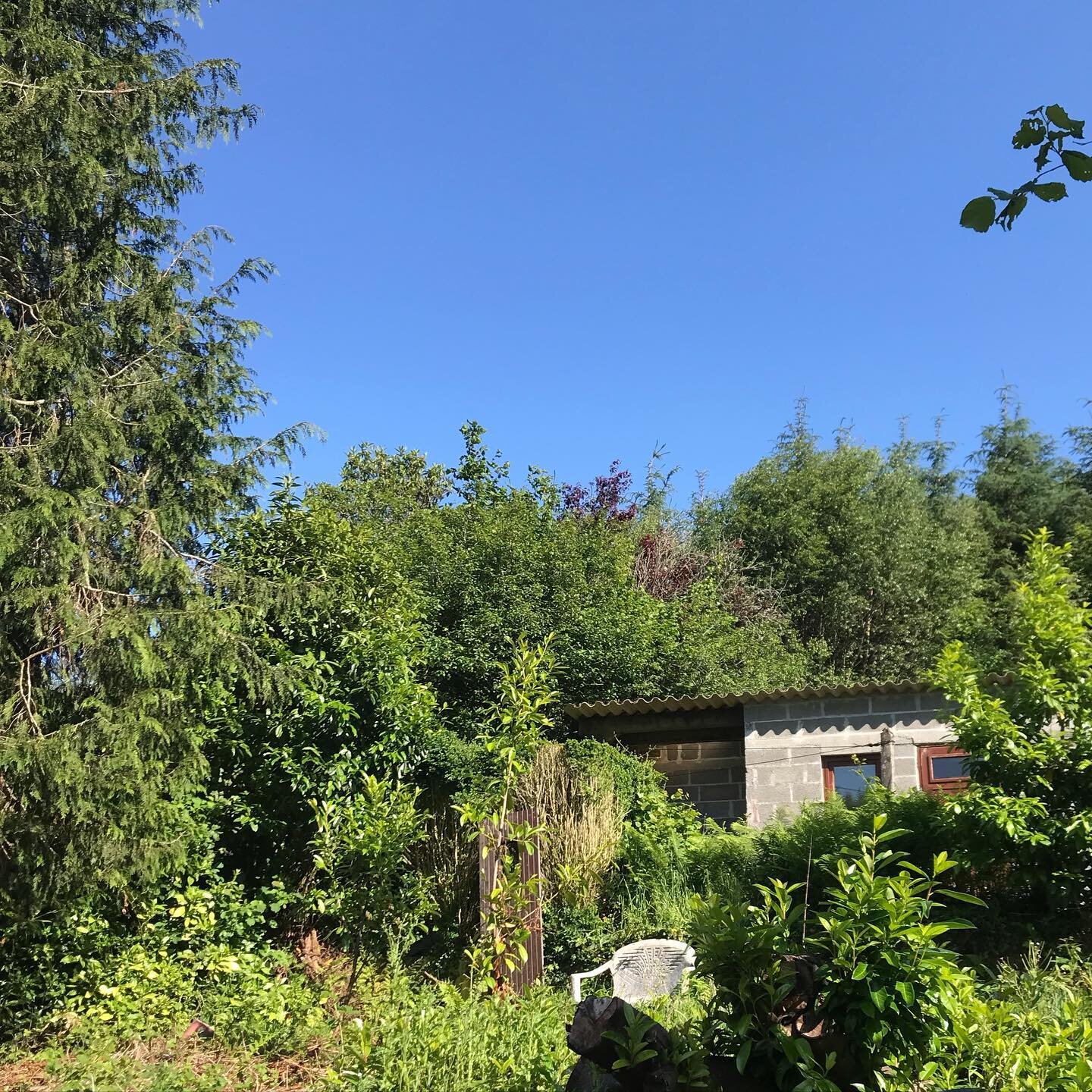 Can you spot the little breeze block building hiding through the greenery? That&rsquo;ll eventually be Cepheid Studio HQ!

It was originally built by our house&rsquo;s old owner&rsquo;s son, who planned on using it as his honey-making studio, or &lsq