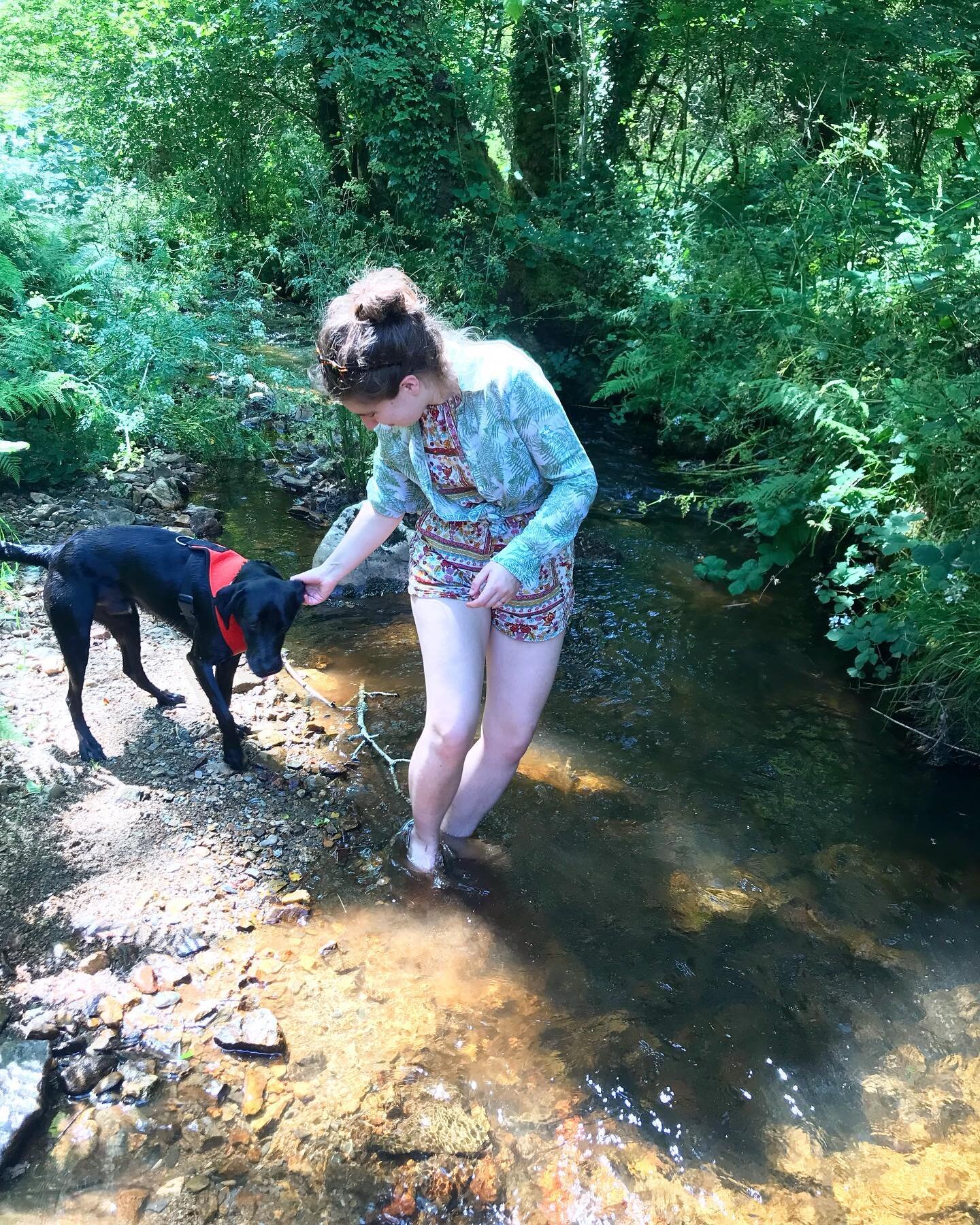 We&rsquo;ve spent the last few afternoons down at the river to try and keep cool. Chapeau loves fetching sticks from the river and making a pile of them on the river bank, and I love watching him 🥰