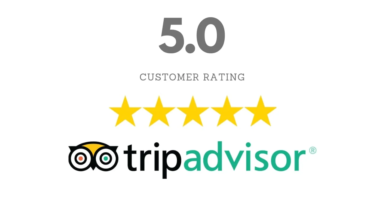 tripadvisor 5 star customer review.jpg