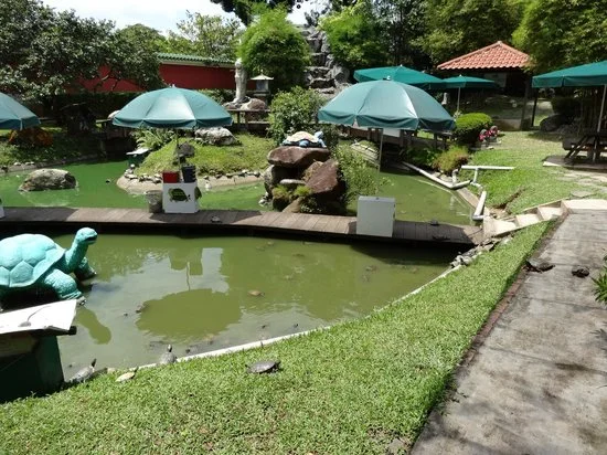 the-live-turtle-and-tortoise museum.jpg