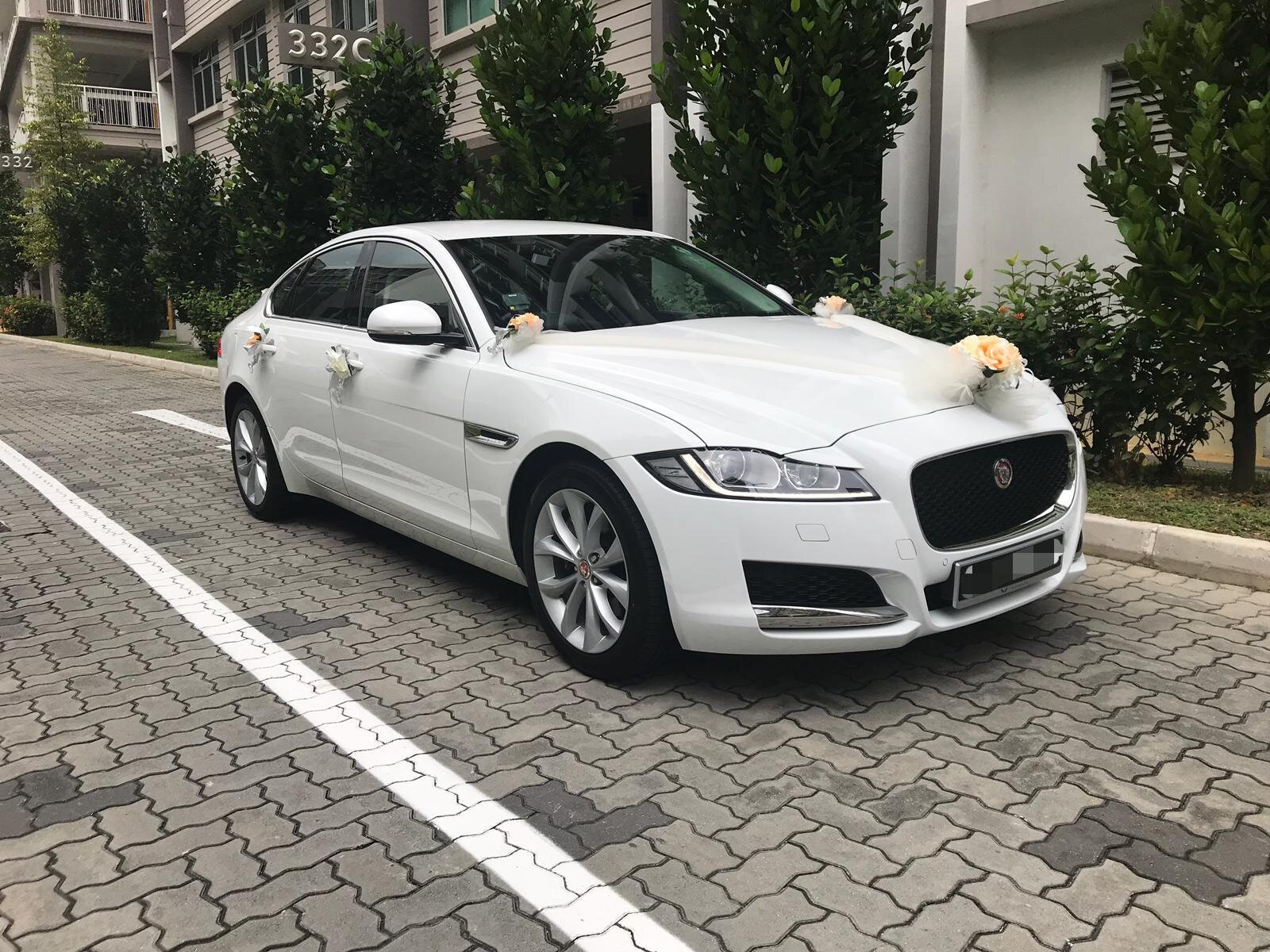 Jaguar XF waiting for bride and groom