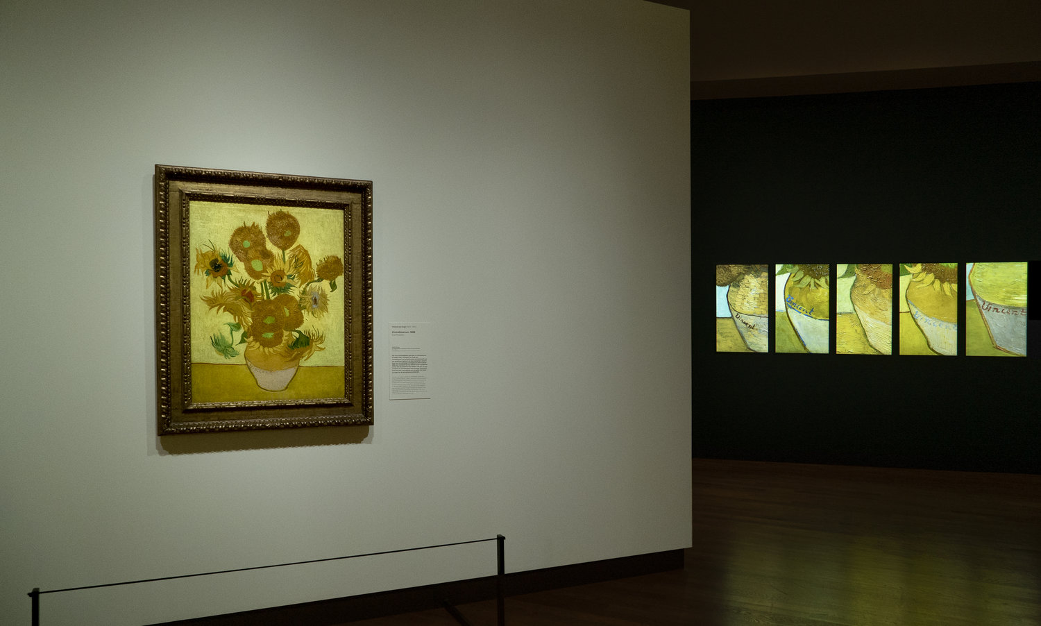 03 Sunflowers and 5 screen installation © David Bickerstaff.jpg