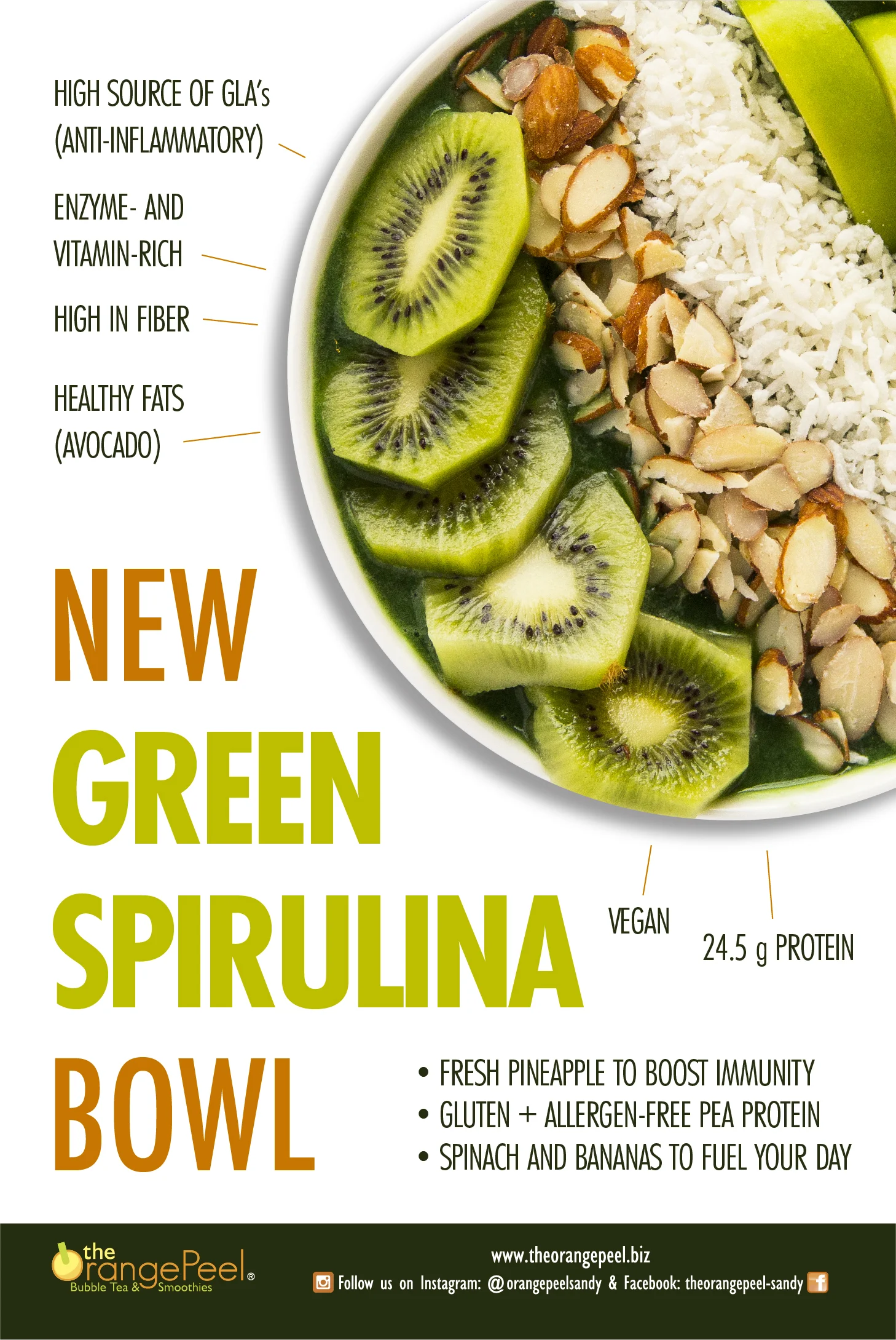 SpirulinaBowl_04222018_20x30_proof-01.jpg