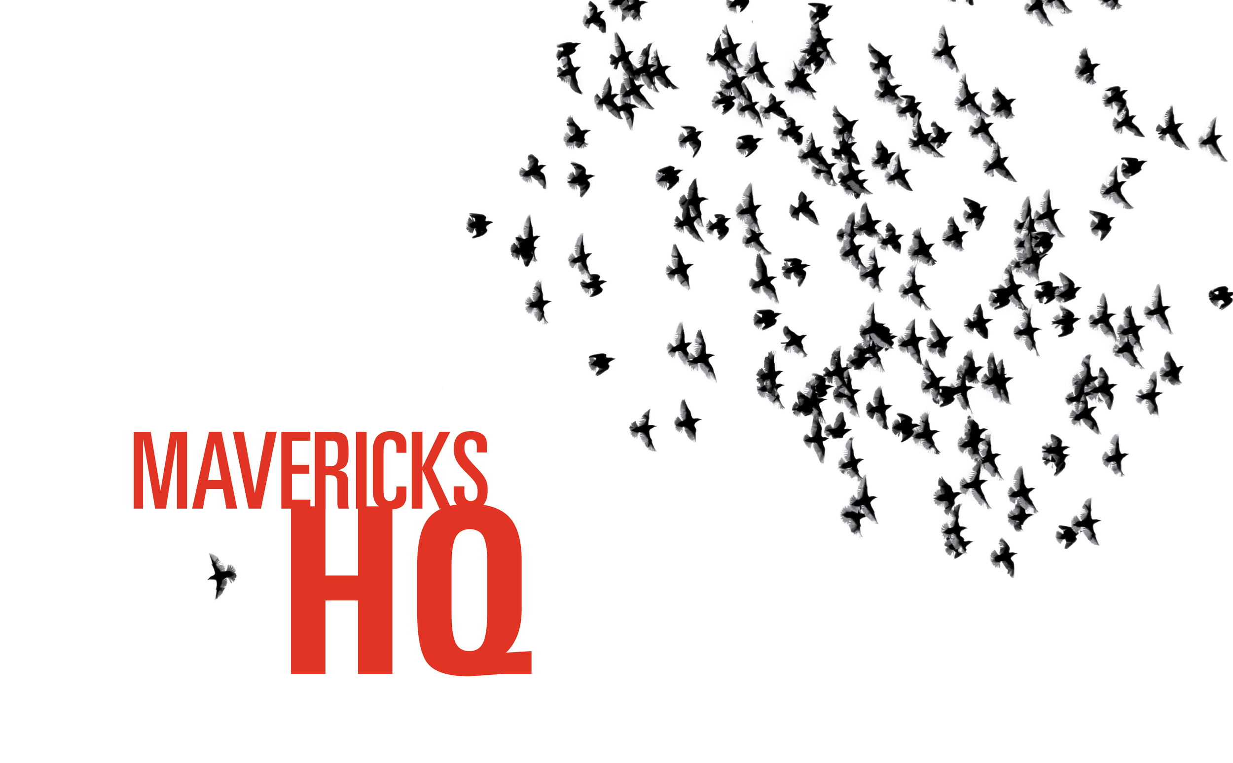 MavericksHQ_Masthead_birds-2189476-01.png