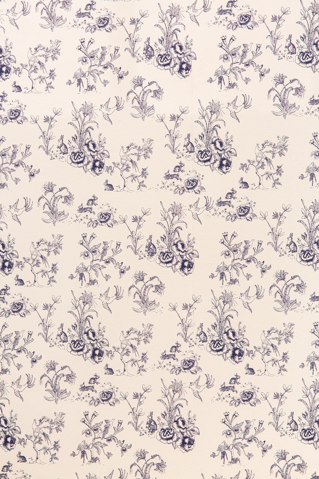 Toile Wallpaper Close Up 4 (@ariannatettamanzi).jpg