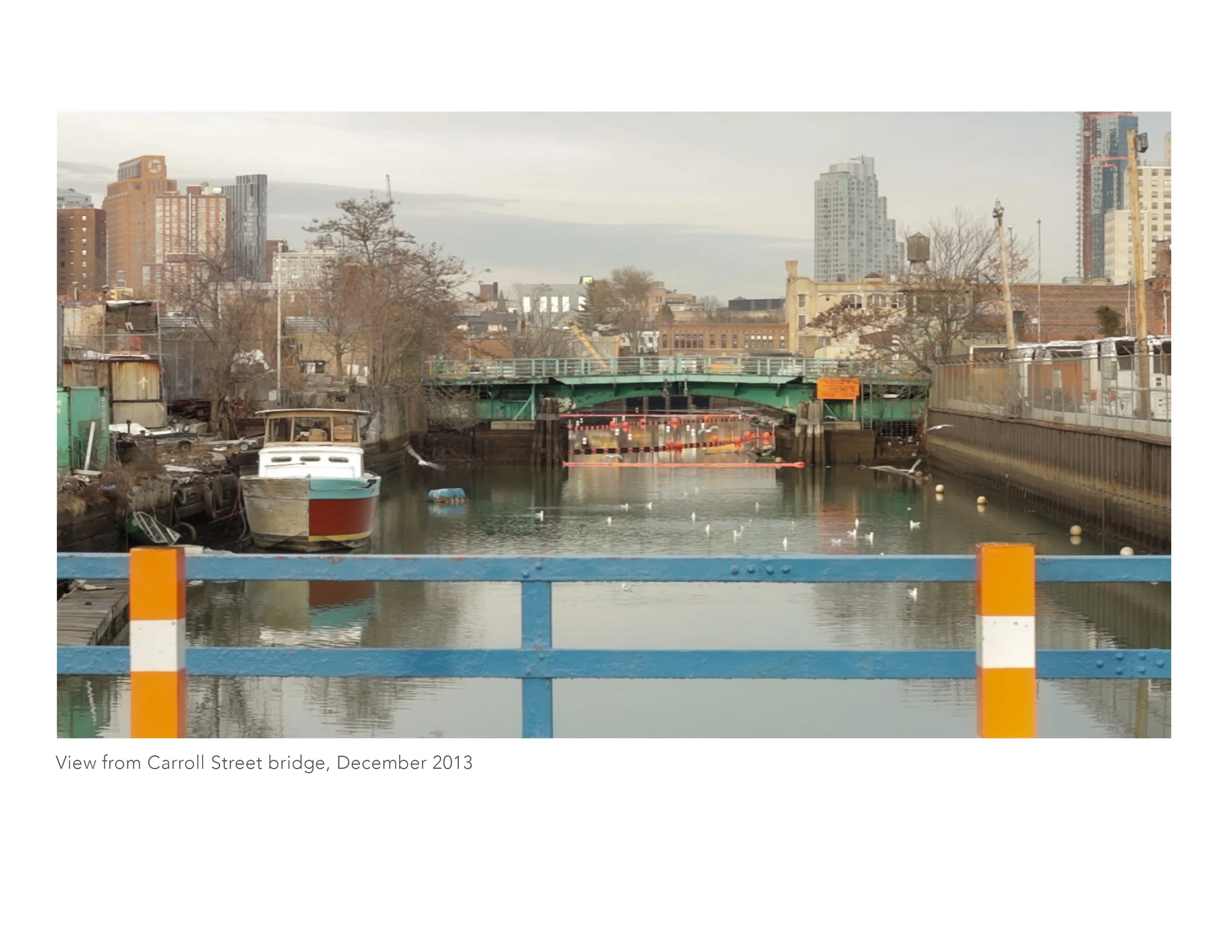 View from Carroll_Merch master.jpg