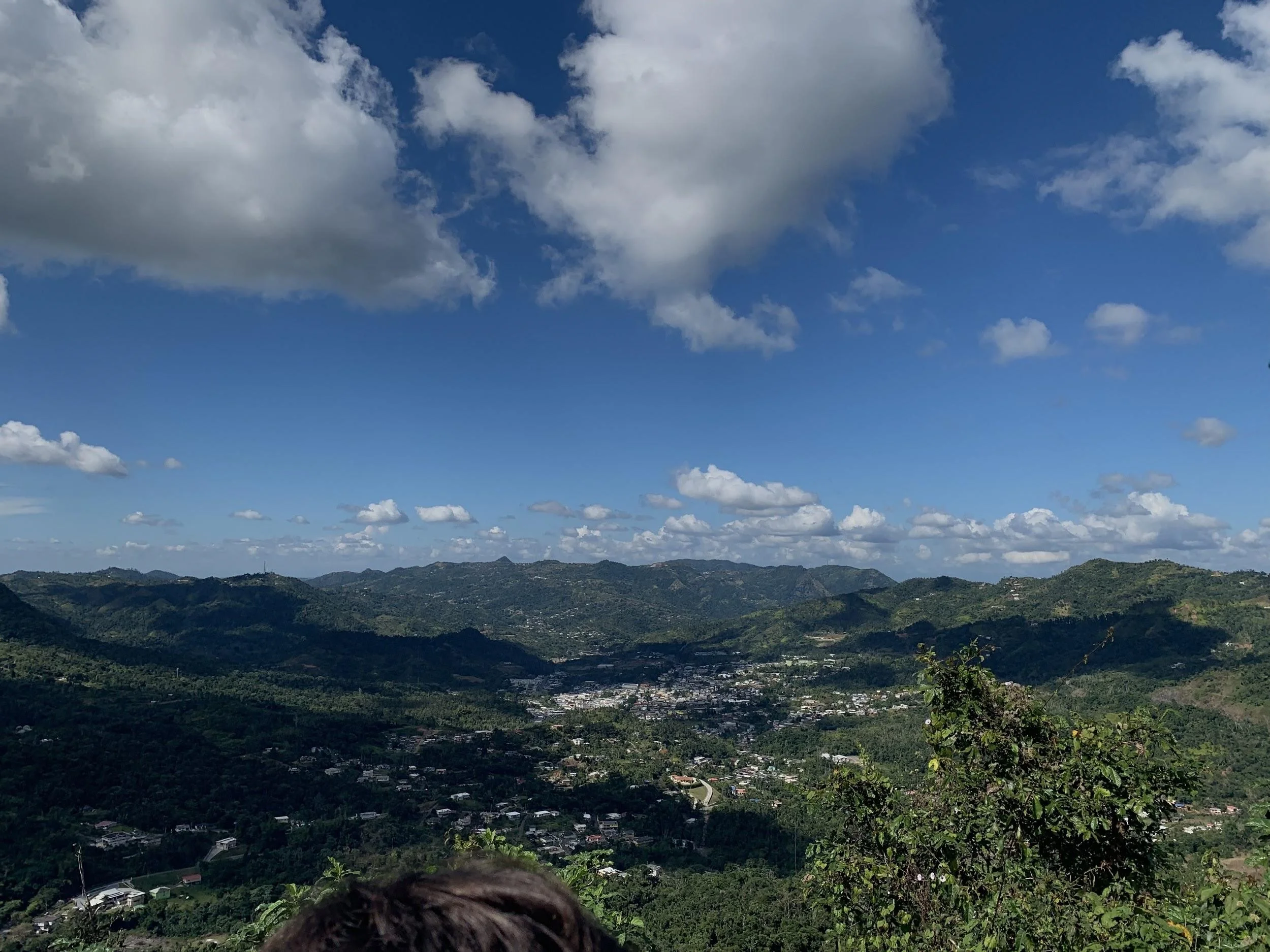 From the peak in Bosque Escuela la olimpia