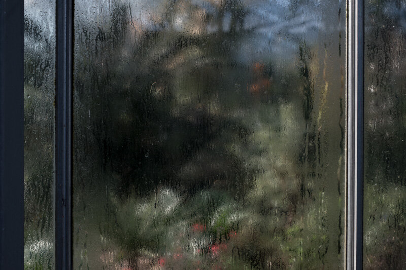 Royal-Botanic-Garden-Victorian-Glasshouse-Tropical-Window.jpg