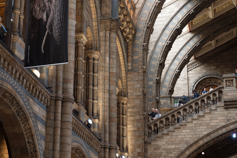 London-Natural-History-Museum-Fiona-Burrage-Photographer-Family.jpg