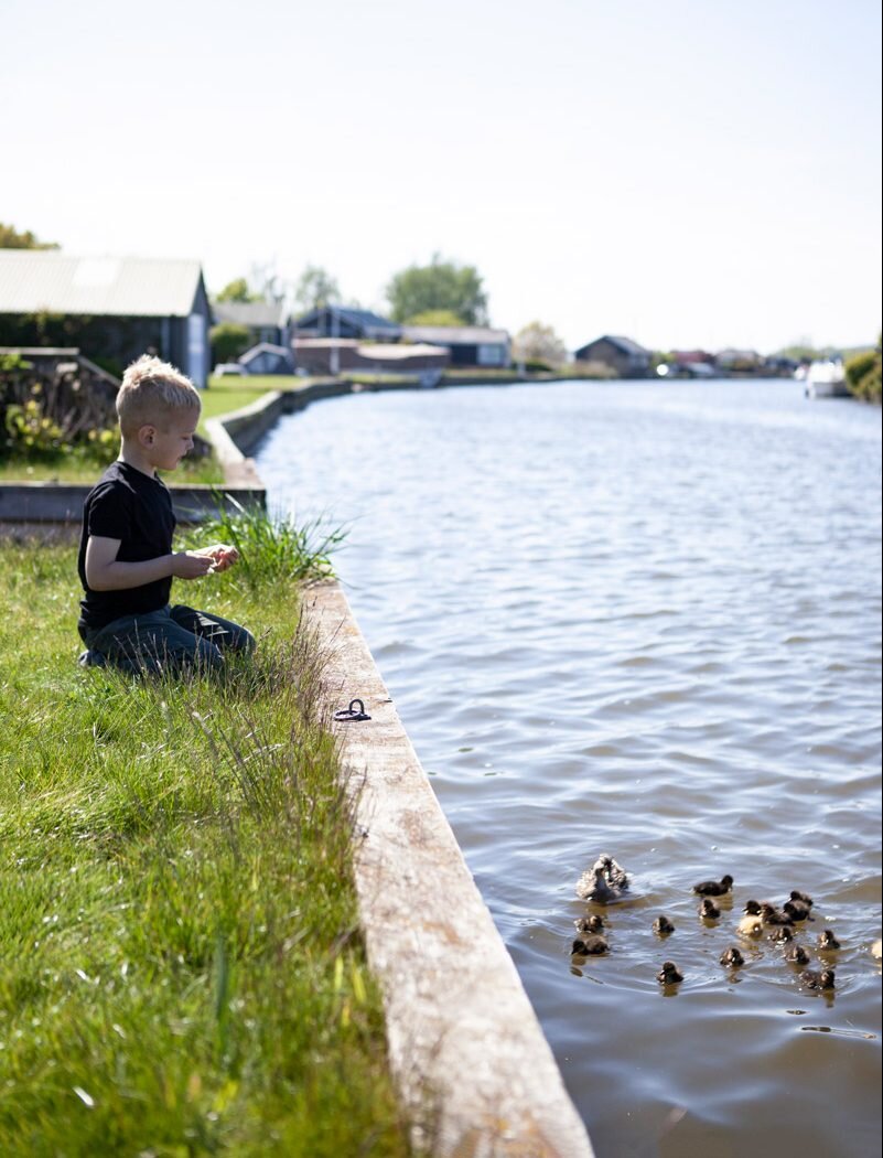 Water-Cabin-Stanley-with-ducks-enki-norfolk-broads-e1565107944207.jpg