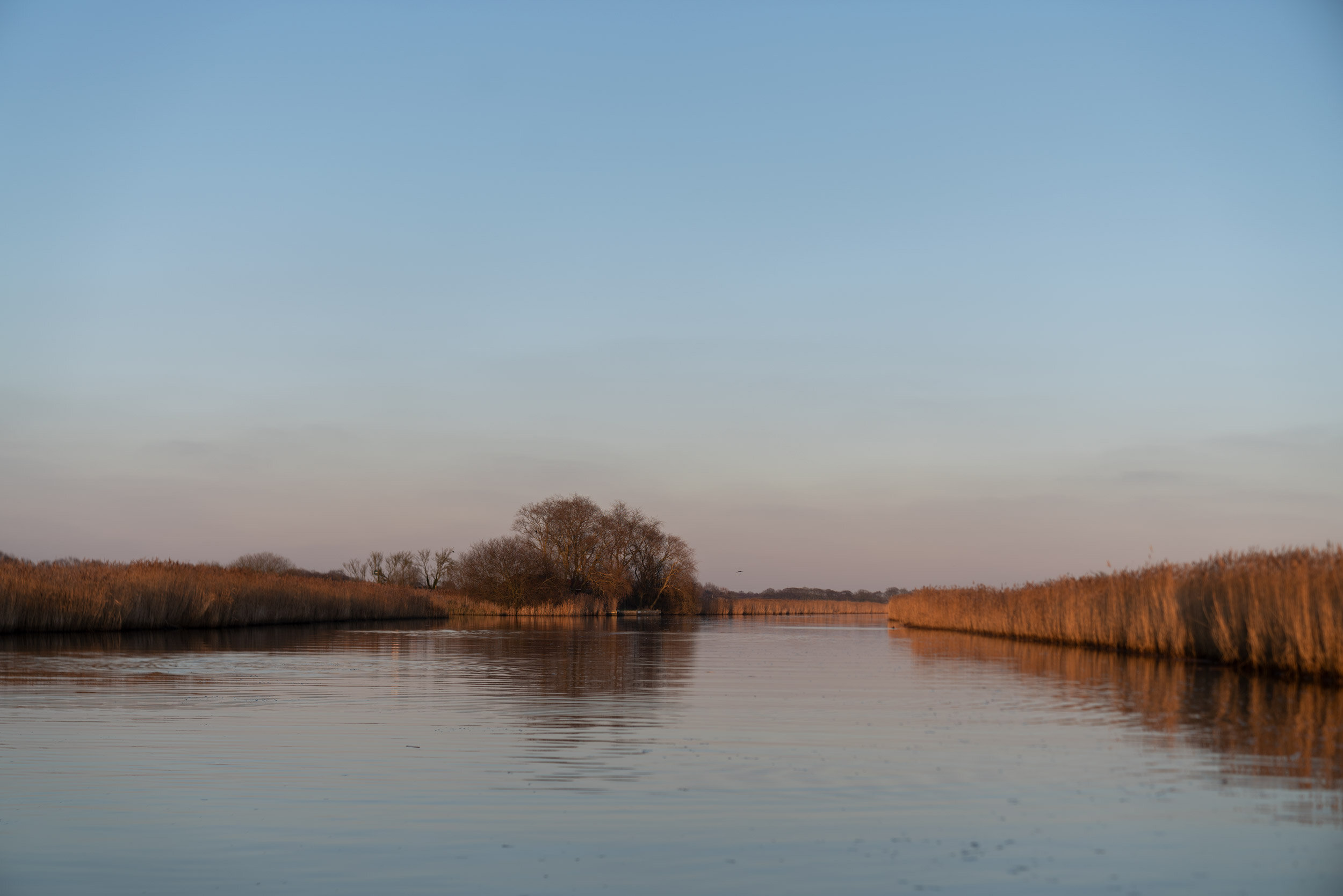 Fiona-Burrage-Norfolk-Broads-Norfolk-River-Thurne.jpg