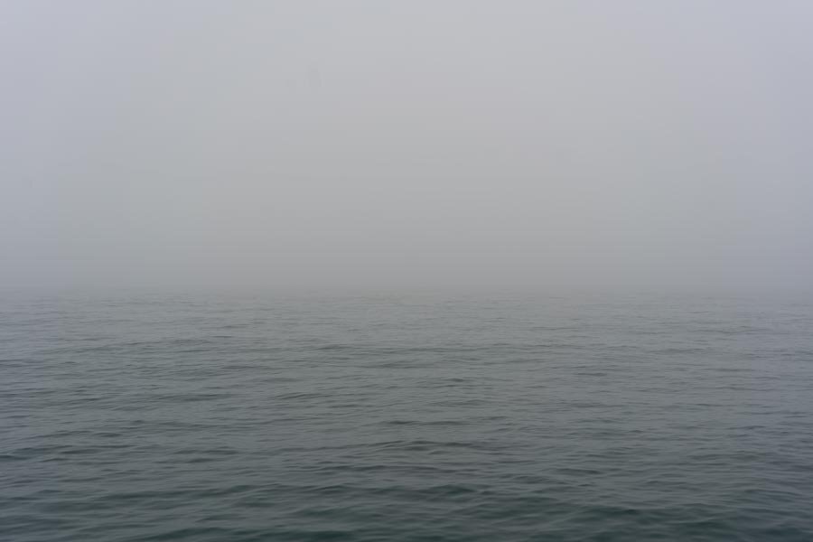 Fog-West-Wales-Dolphin-Spotting.jpg