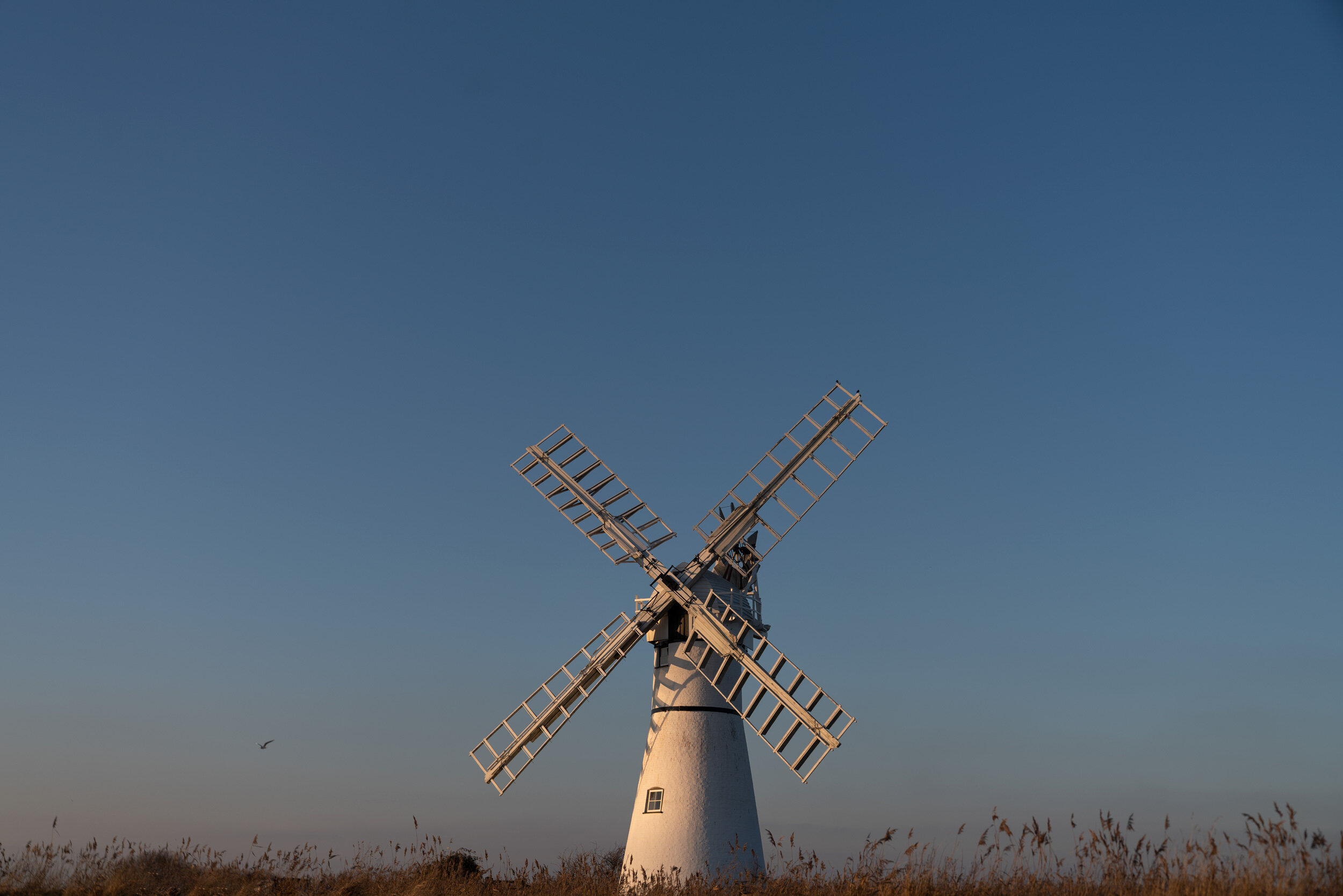 Fiona-Burrage-Thurne-Windmill-Norfolk-Broads-Norfolk.jpg