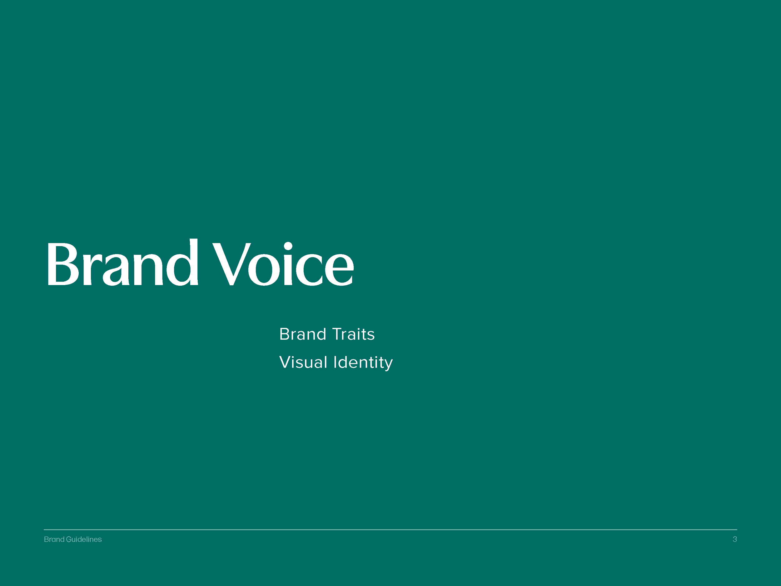 Brand Guide-HealthComp-2023_Page_03.png