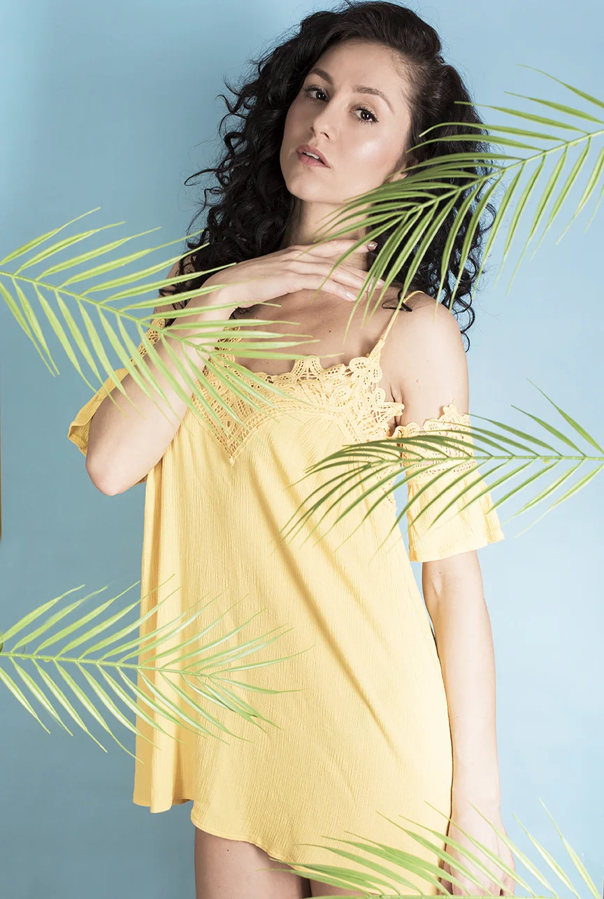 s-palmleafs-web.jpg