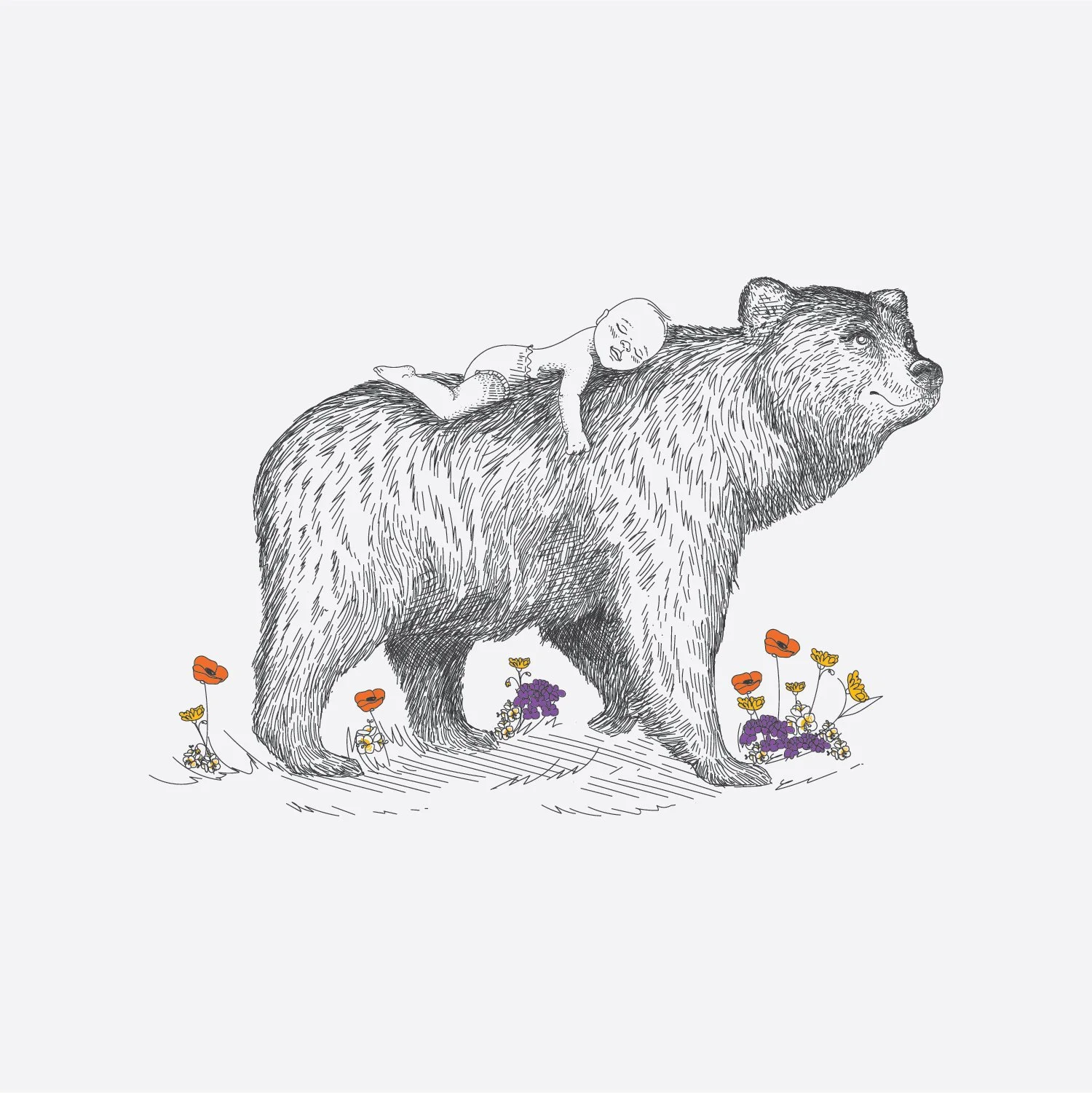 Kyra Birth Illustration