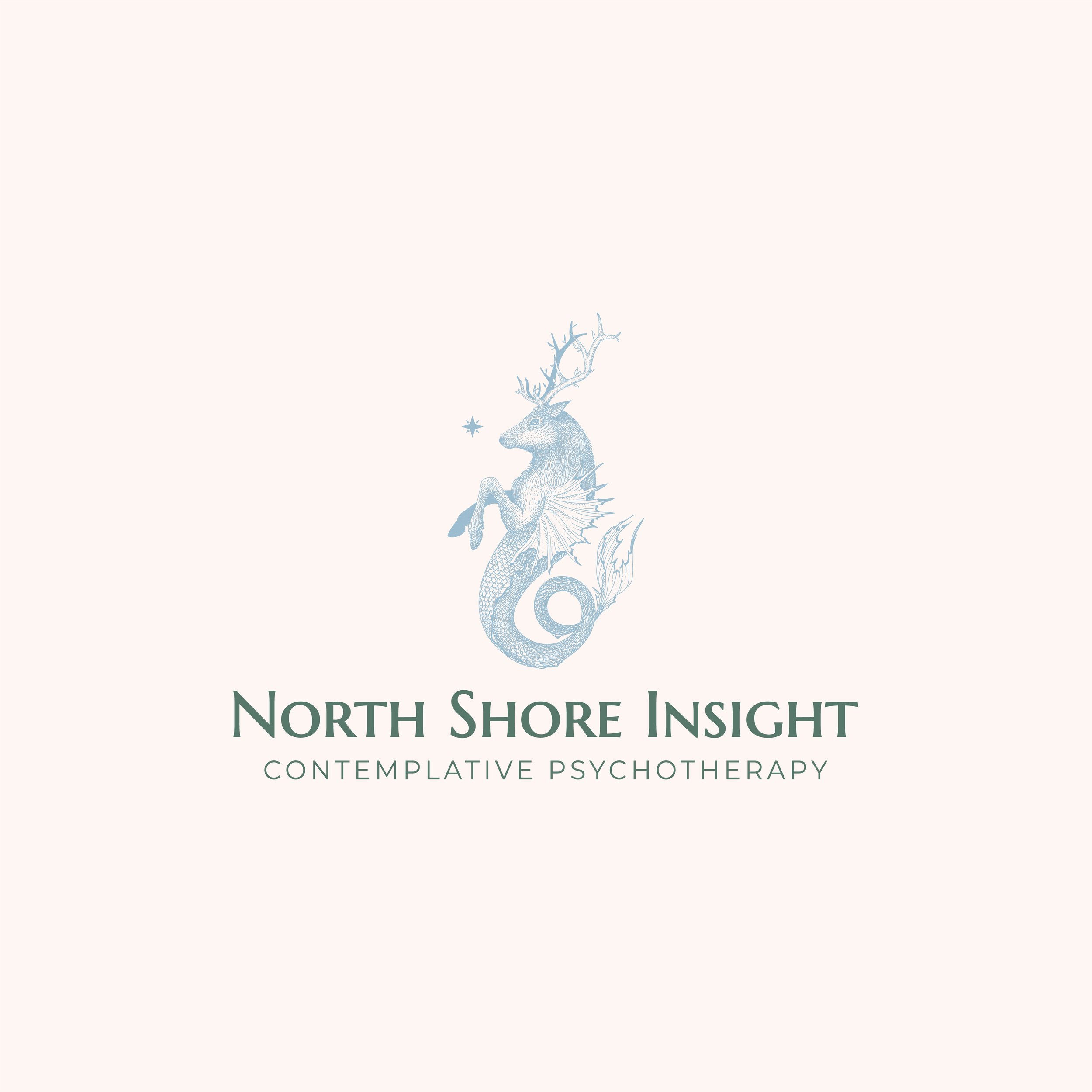 NSI-Logo-01.jpg