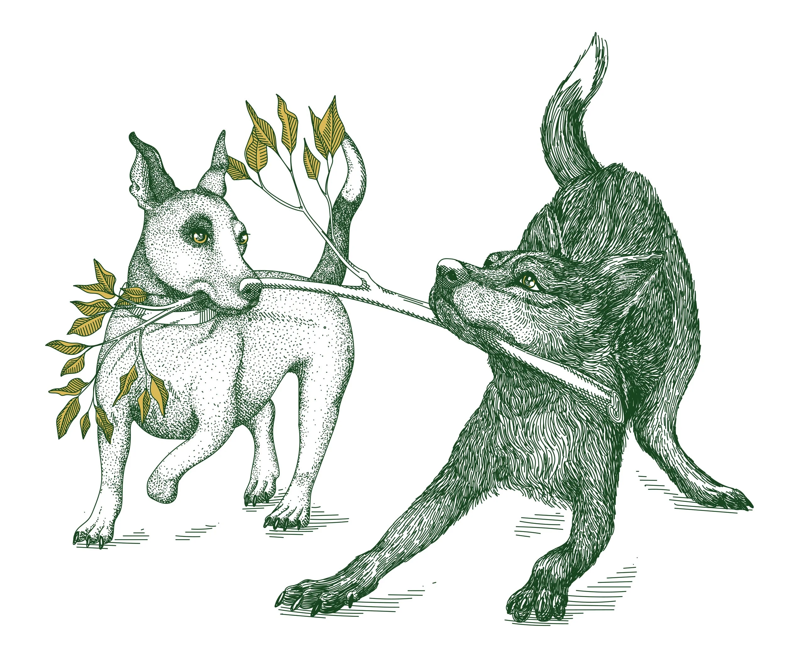 FTF-Illustrations-4.jpg
