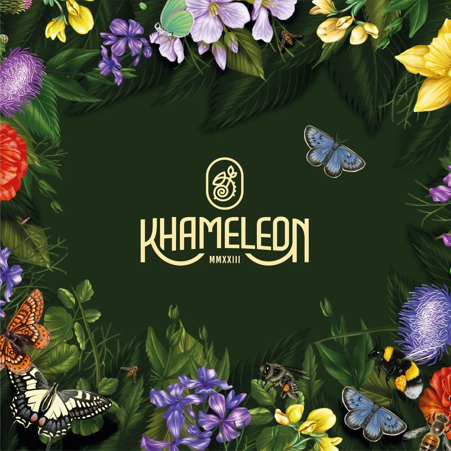 Khameleon offers best non-alcoholic options for popular beverages. The brand concept was developed around their environmental aspect and charities they support. A logo design is for that reason blending with nature. Suggested illustrations promote br