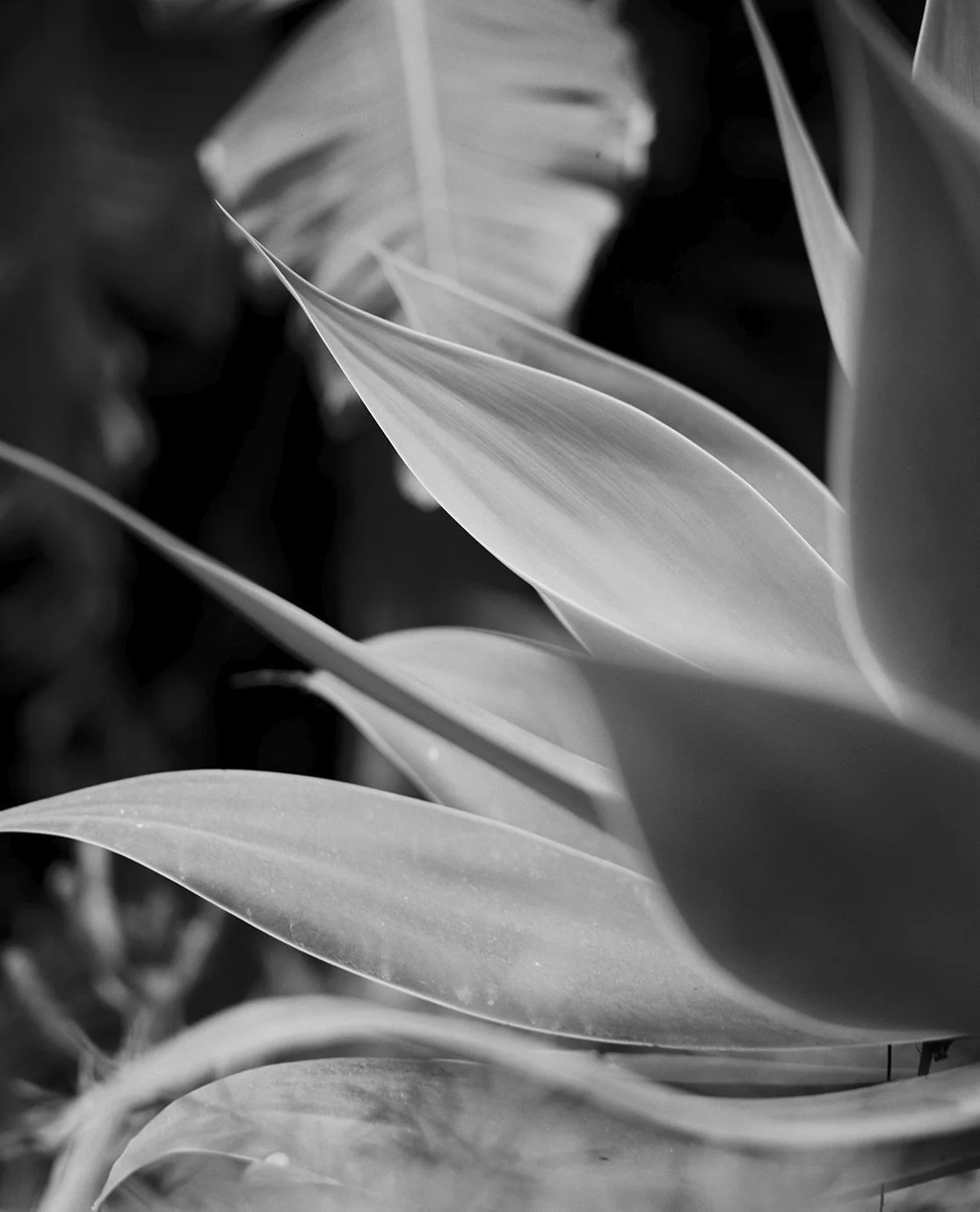 05bw.jpg