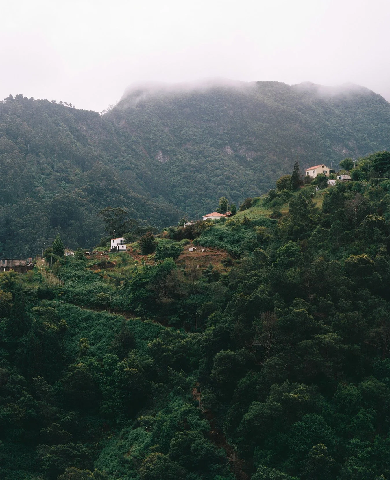 roxmadeira.jpg