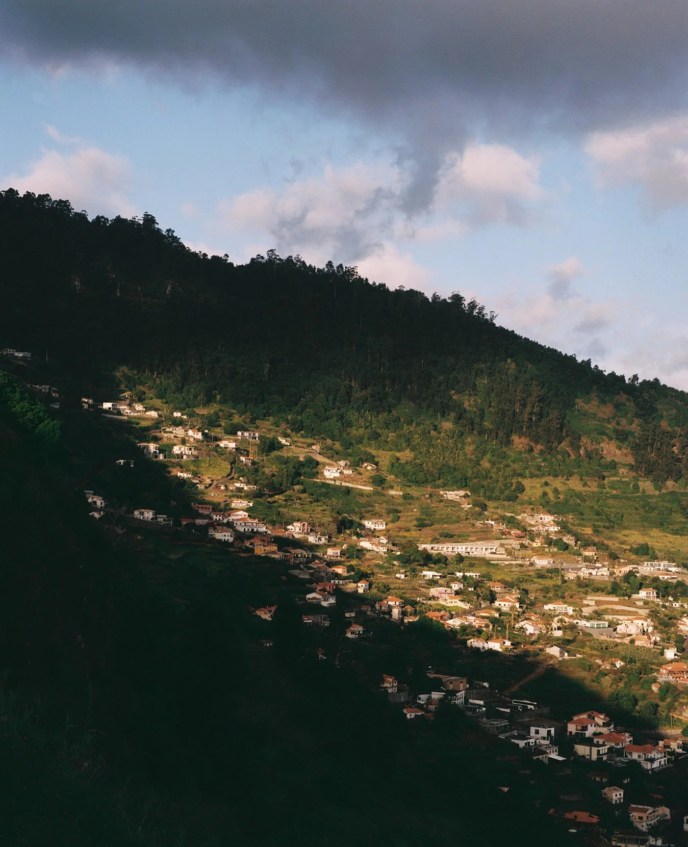 roxanafuentesmadeirafunchal.jpg