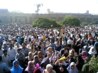 Egypt And The World Food Crisis