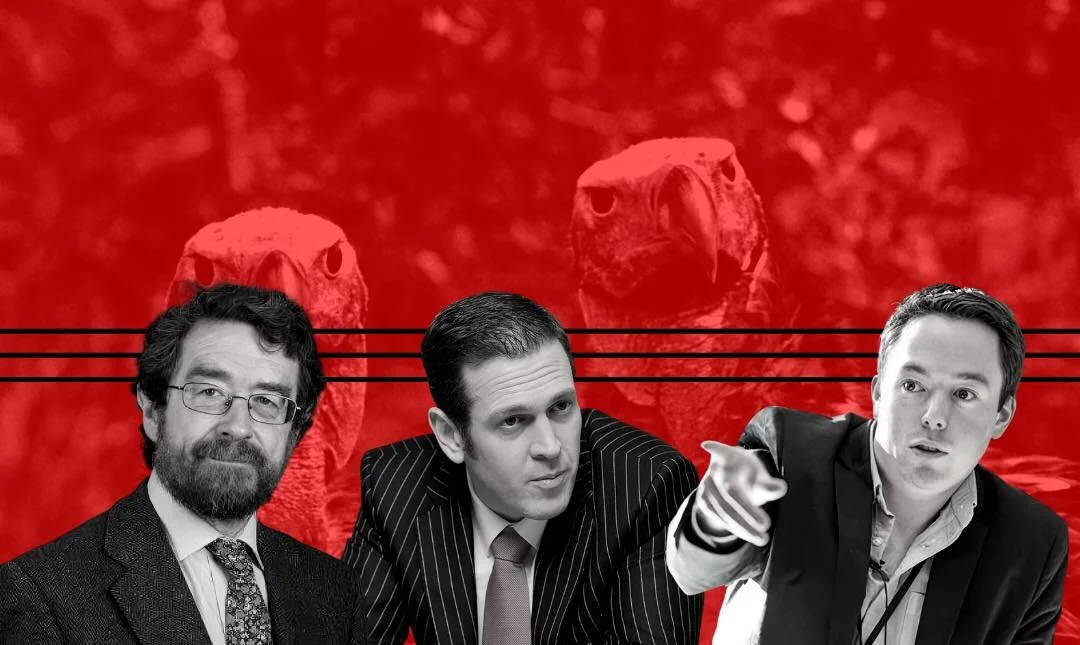 Check Out The Records Of The "Experts" That Cheerlead For The Vulture Landlords Before You Heed Their Advice