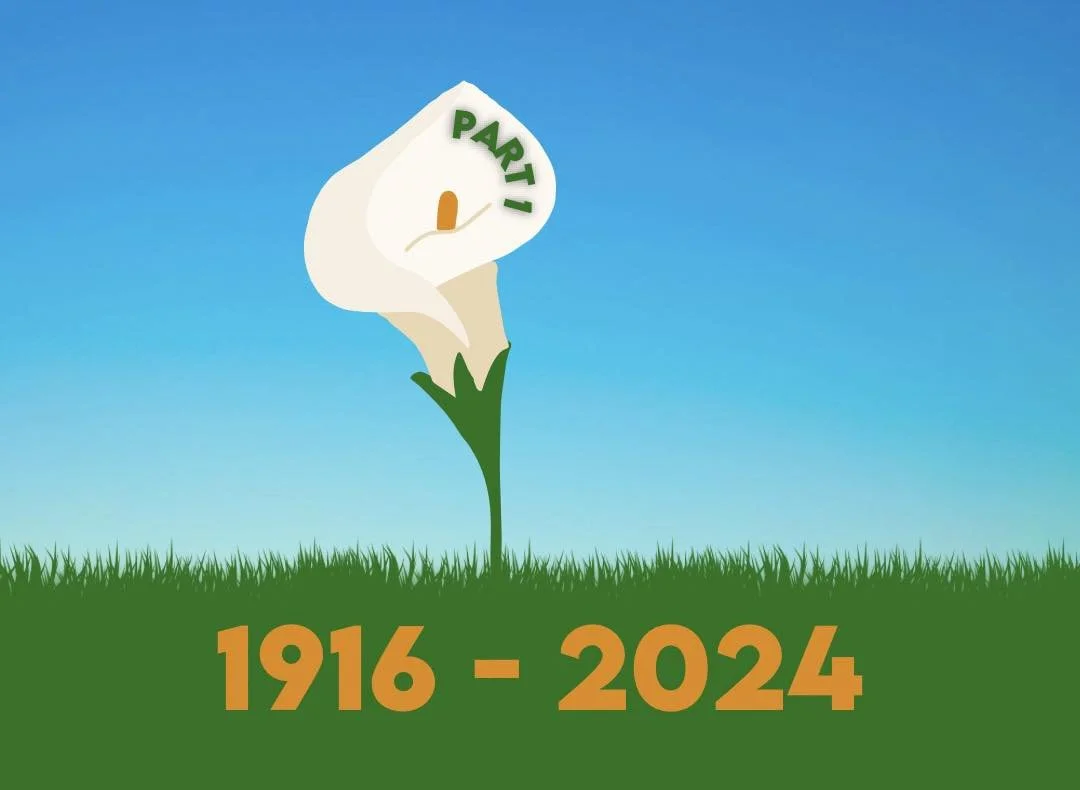 From North To South, From East To West, Éirígí Remembers Our Patriot Dead - Part 1