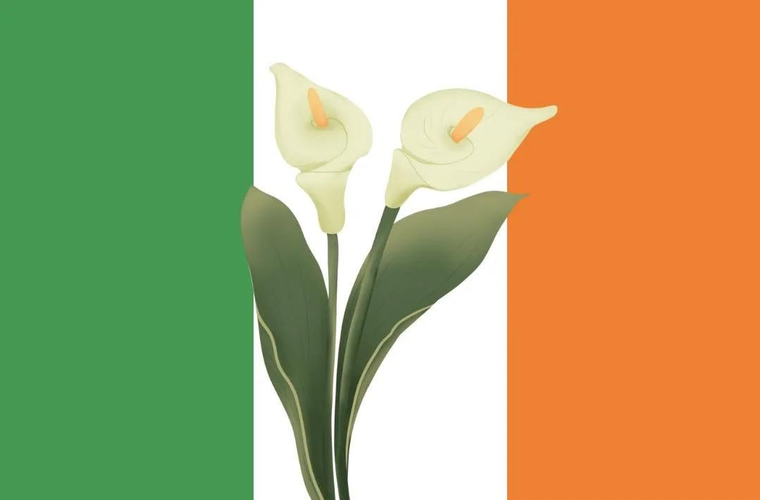 Photo Diary - Éirígí Easter Commemorations 2022