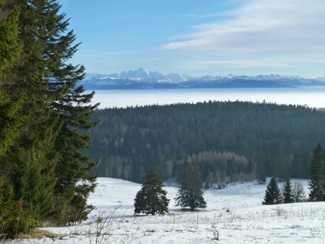 DECEMBER SCENE