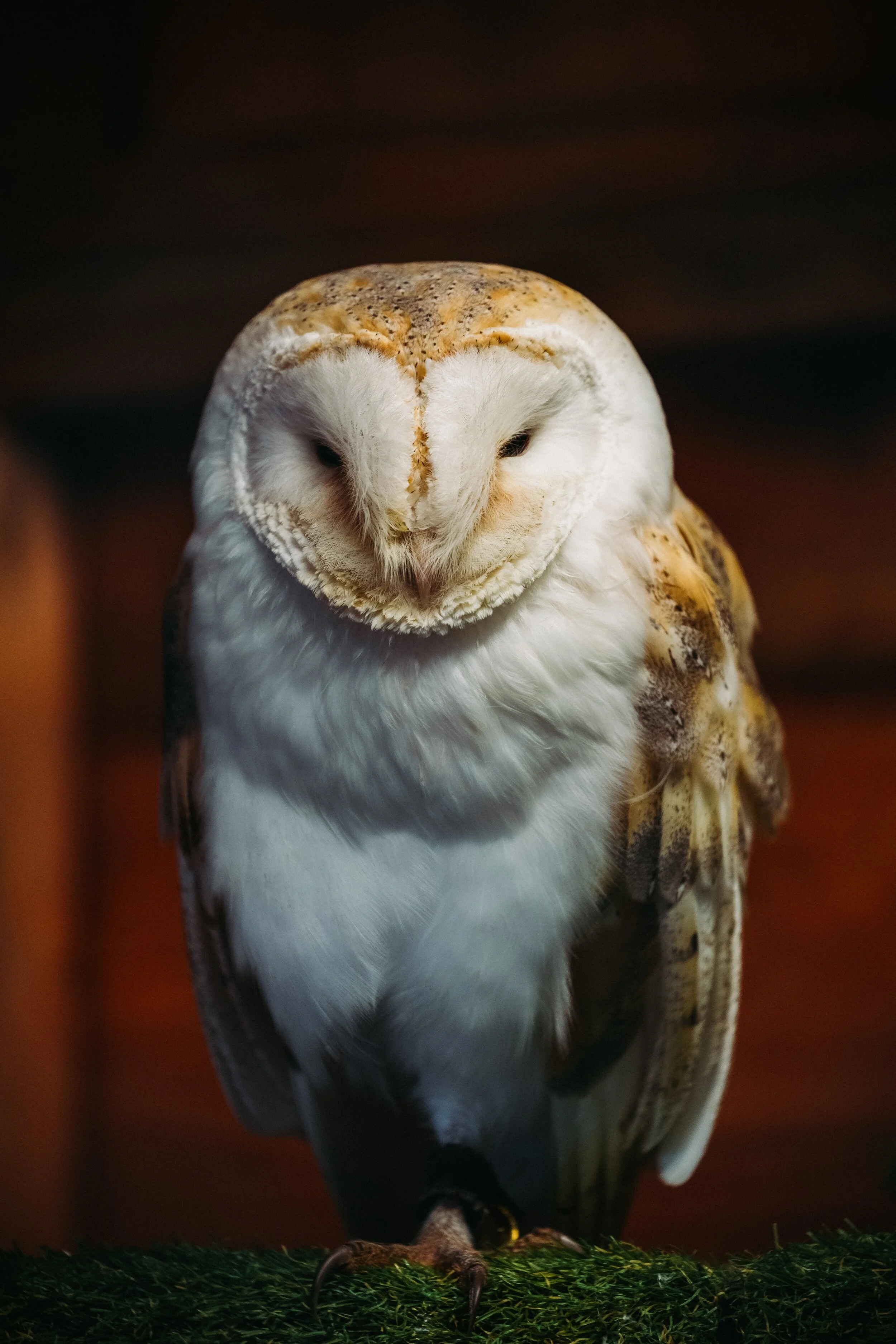 andy-holmes-oBxYg1kDLAE-unsplash.jpg