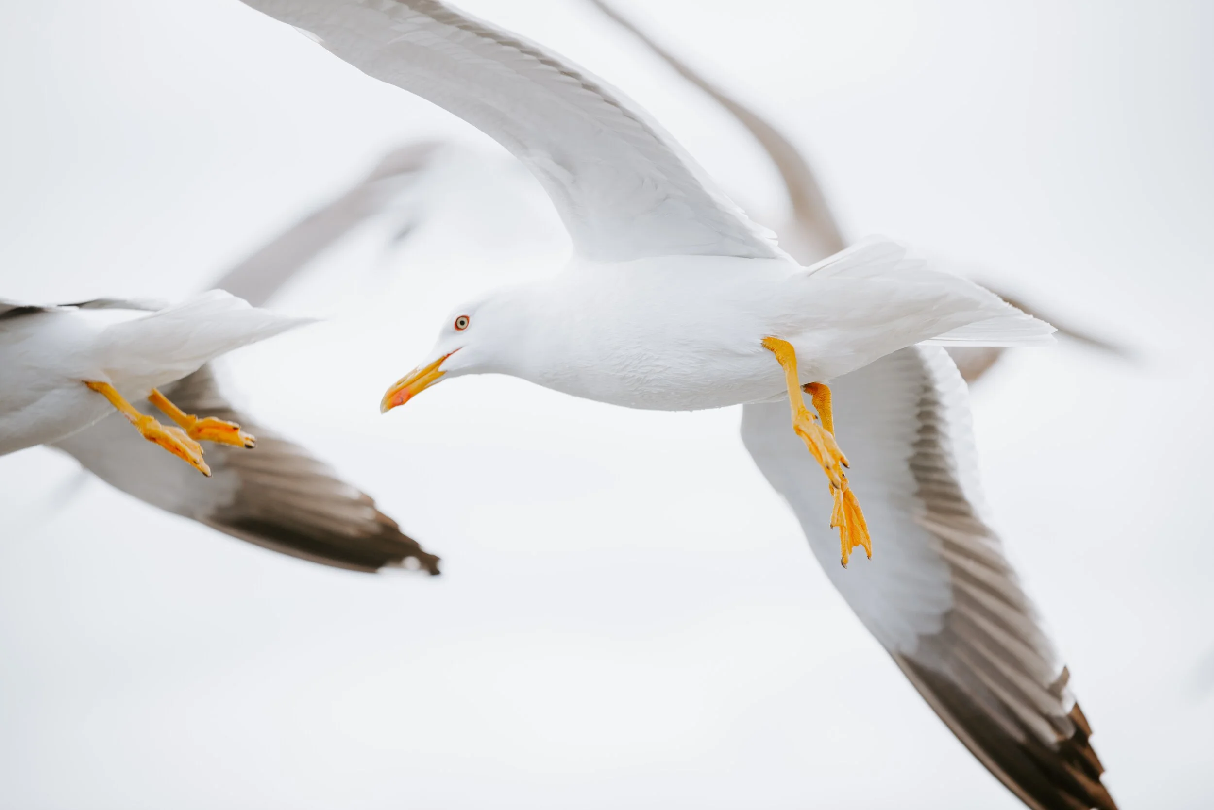 sander-weeteling-kUX4upFks7E-unsplash.jpg