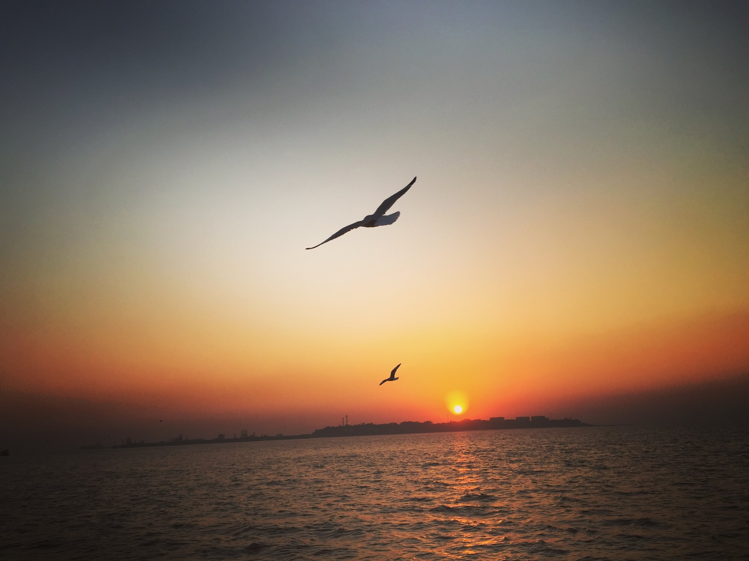 mohammad-tauseef-3Hgo037wHAw-unsplash.jpg