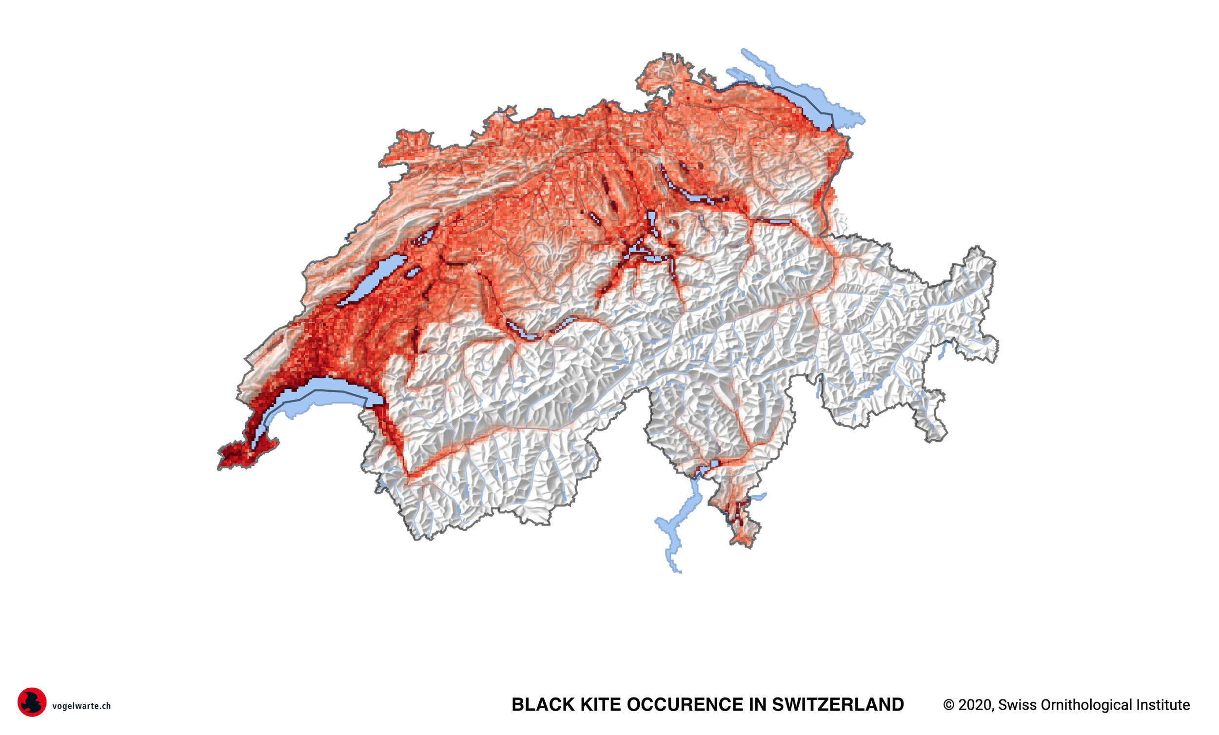 Map_Occurrence_2013-16_Black-Kite_cropped.jpg
