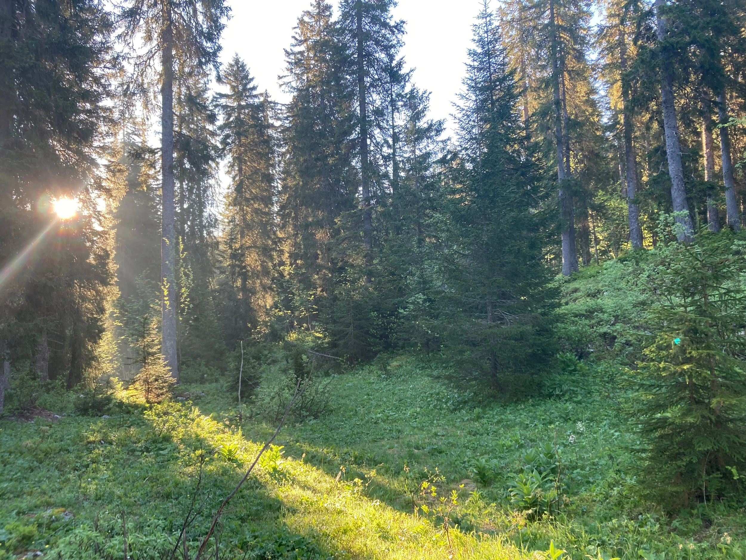 Changing Shifts.....