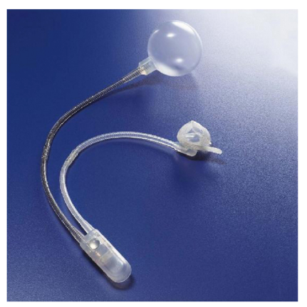 Sphincter urinaire articiel AMS 800®