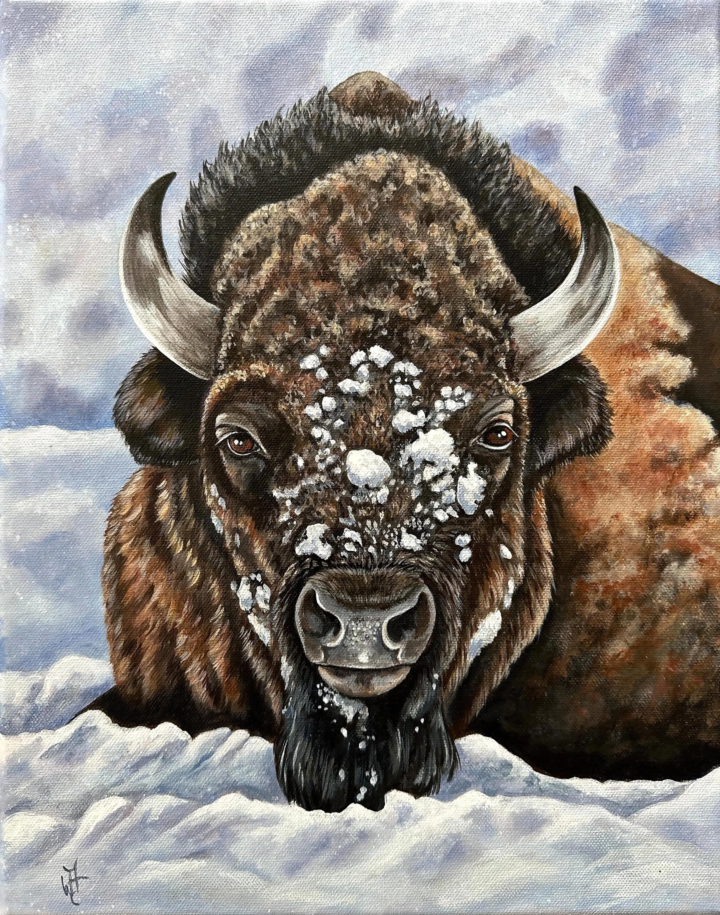 Buffalo_snowday_lg.jpg