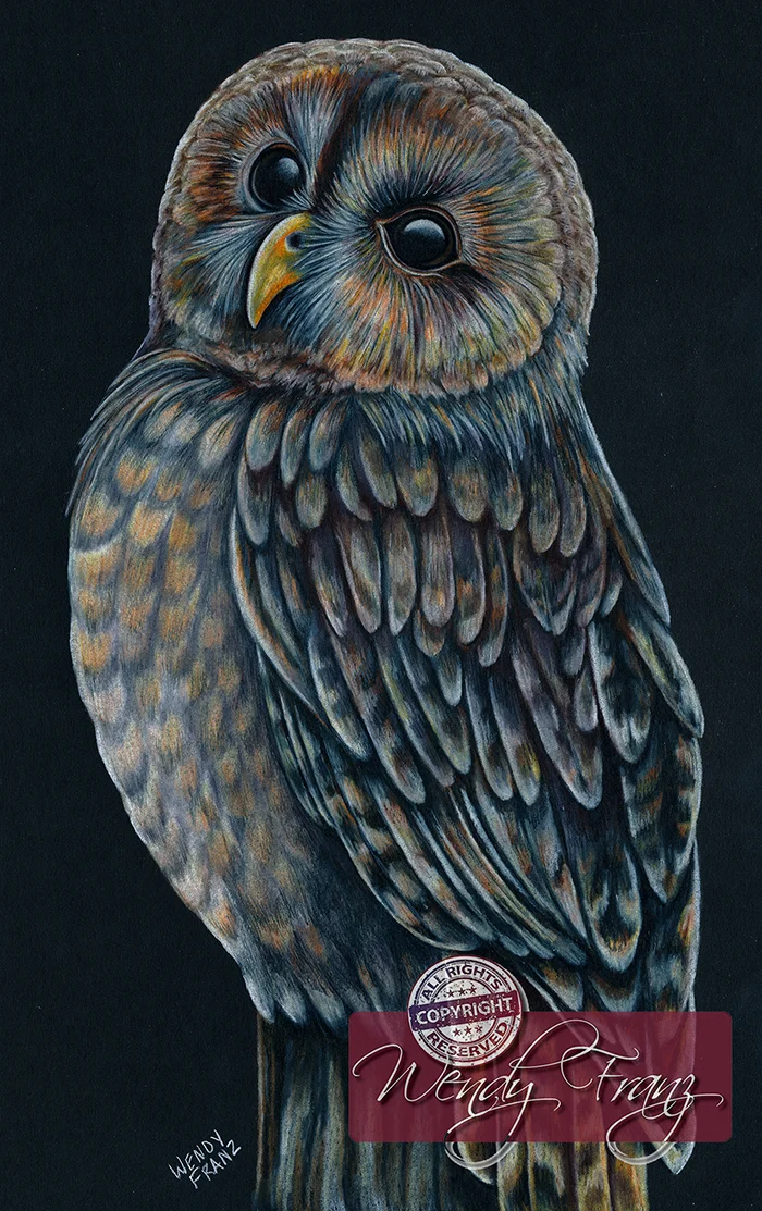 Owl_commision_small.jpg