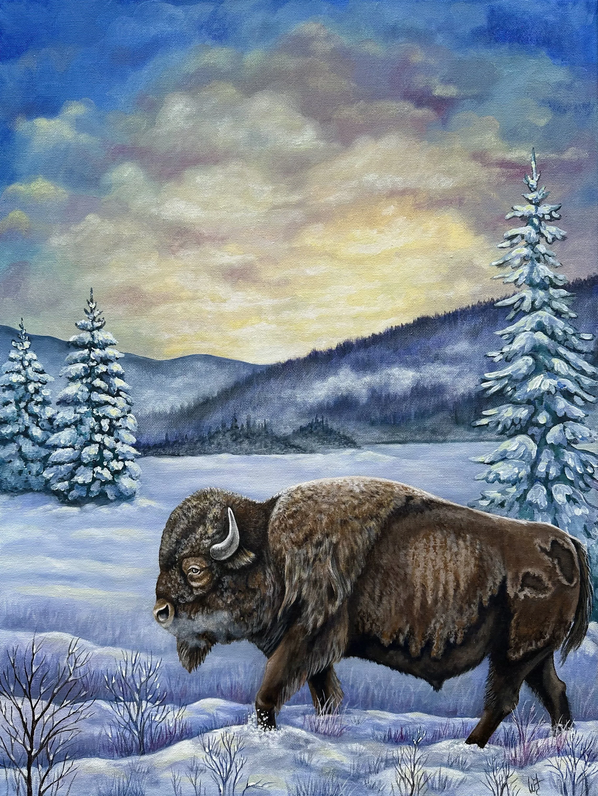 Buffalo2.jpg
