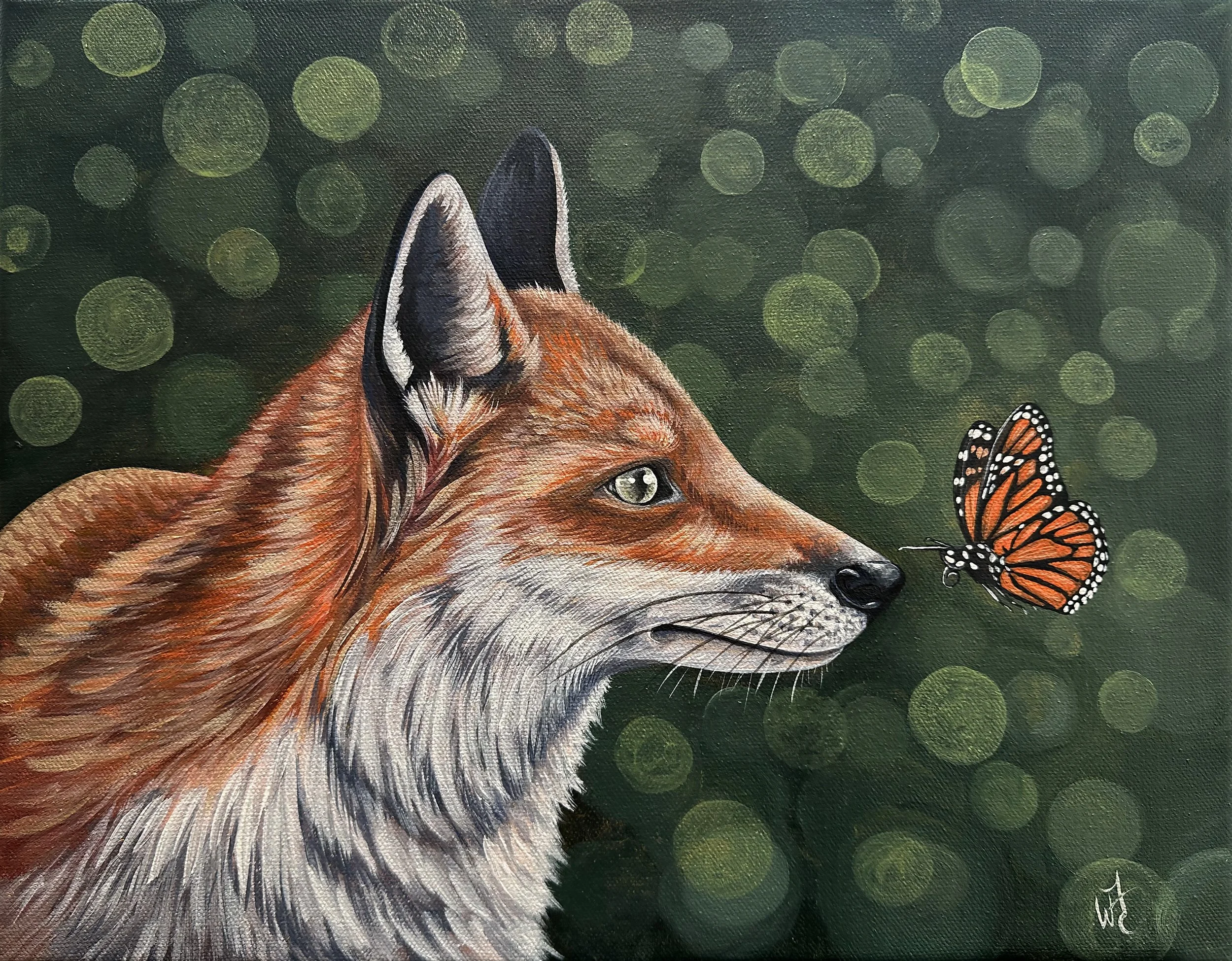Fox.jpg