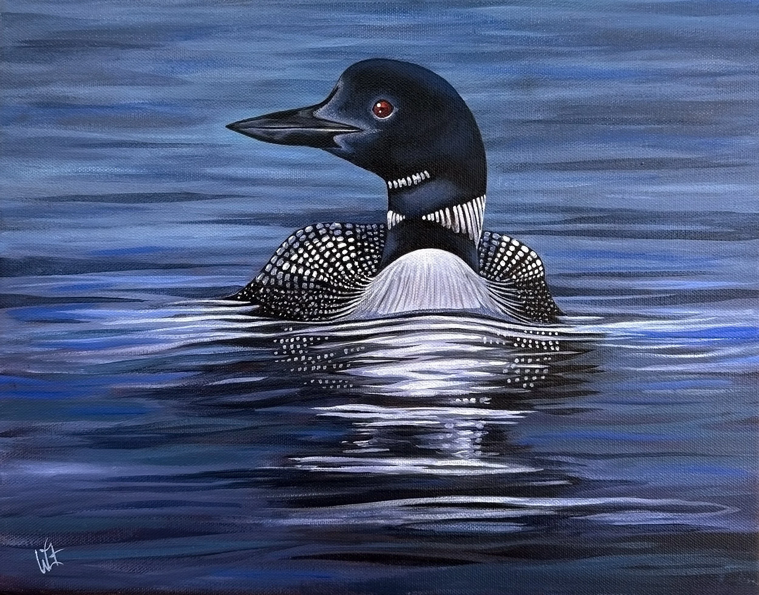 Loon.jpg