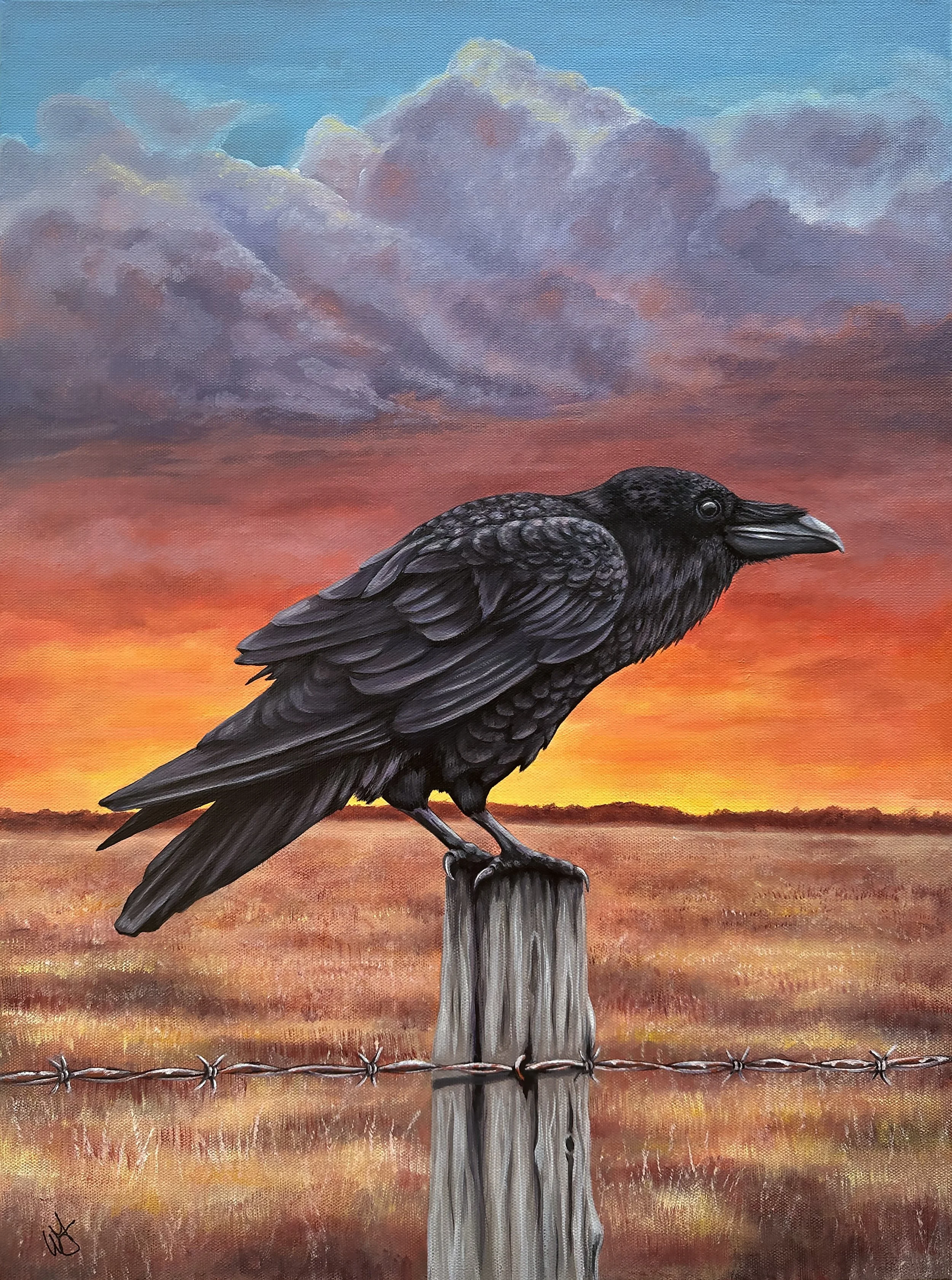 Raven.jpg