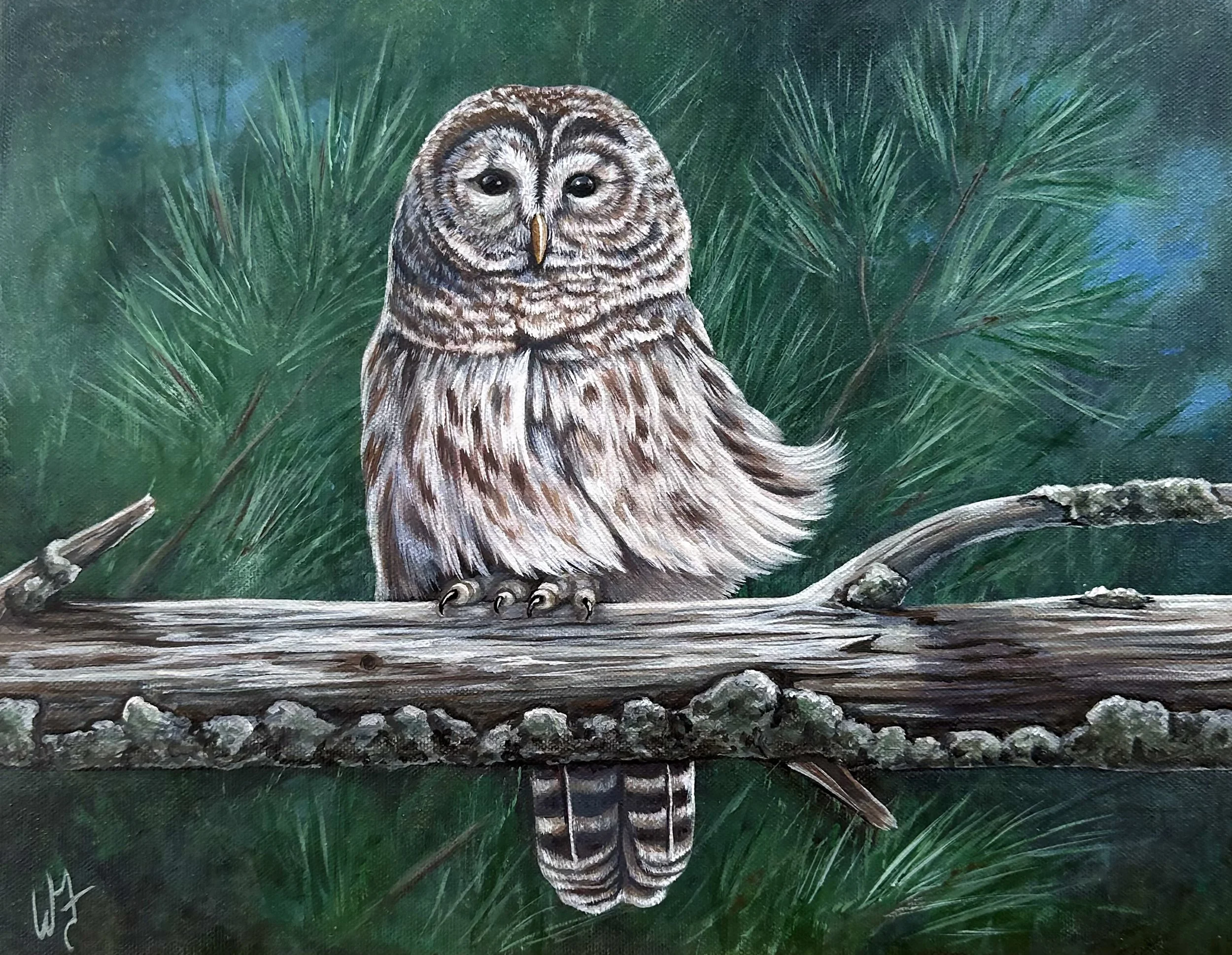 Owl_new.jpg