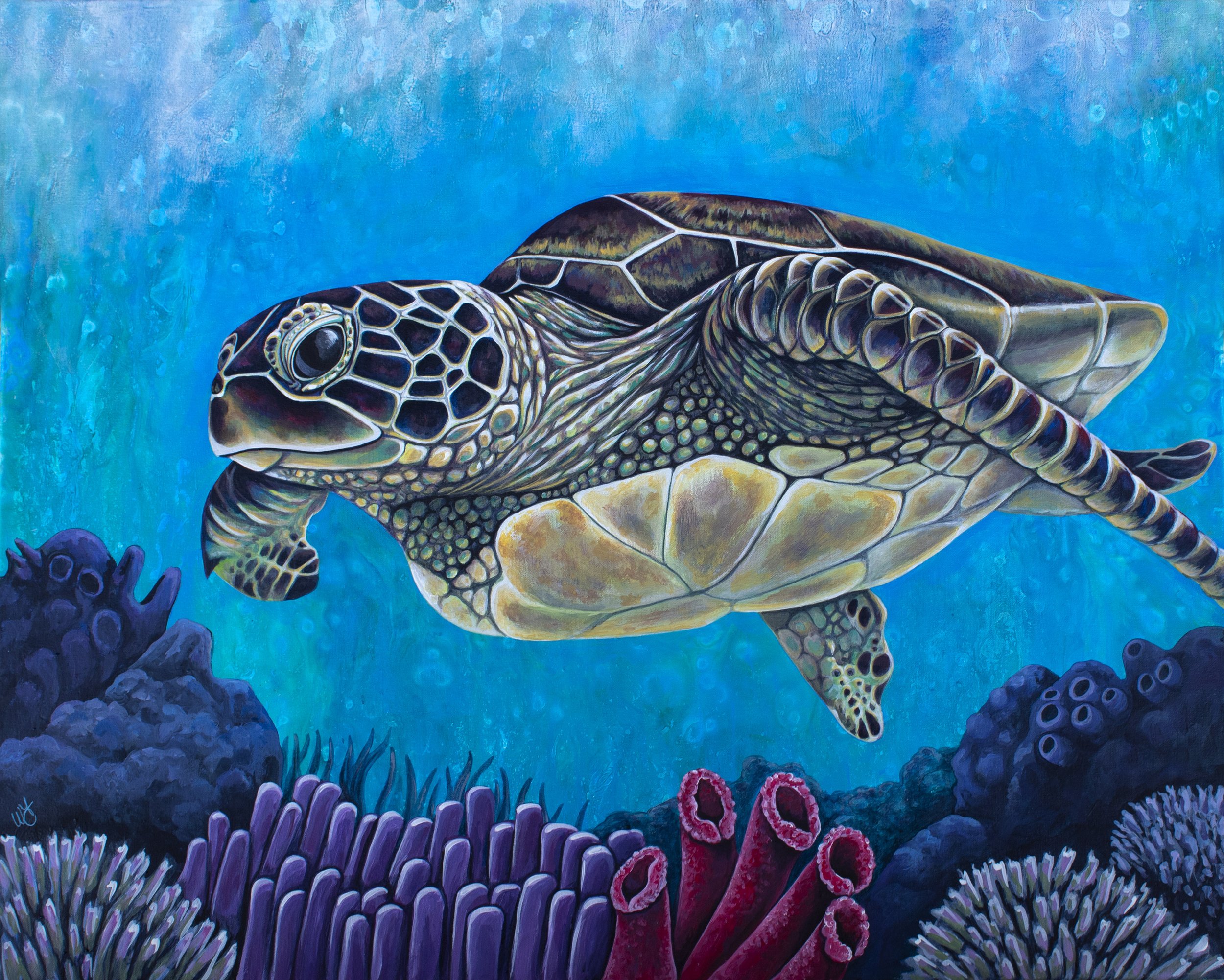 SeaTurtle2.jpg