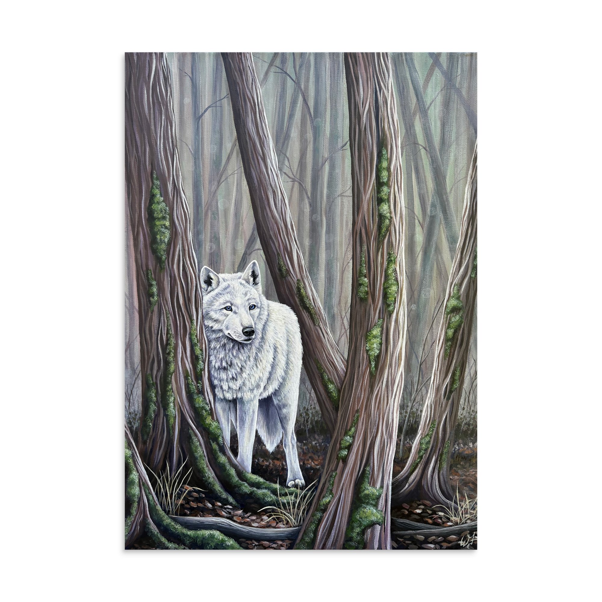 enhanced-matte-paper-poster-(in)-11.69x16.54-front-6a6b9dbfc4af4.jpg