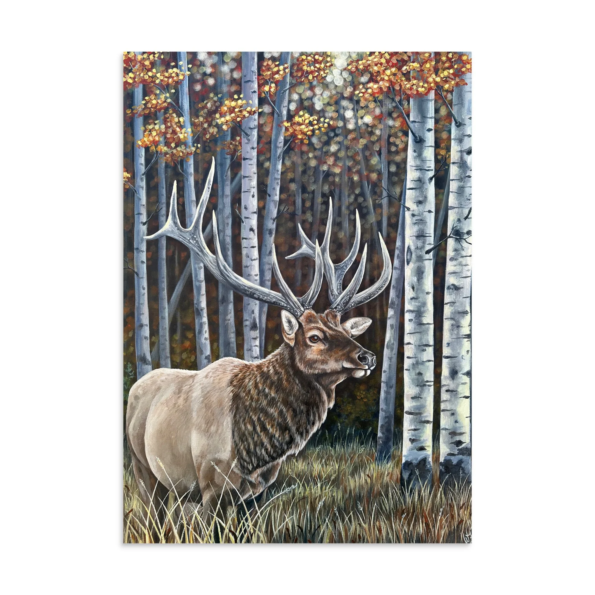 enhanced-matte-paper-poster-(in)-11.69x16.54-front-6a6ba0d3bd6ed.jpg