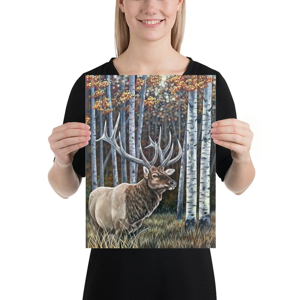 enhanced-matte-paper-poster-(in)-12x16-person-6a6ba0d3baac0.jpg