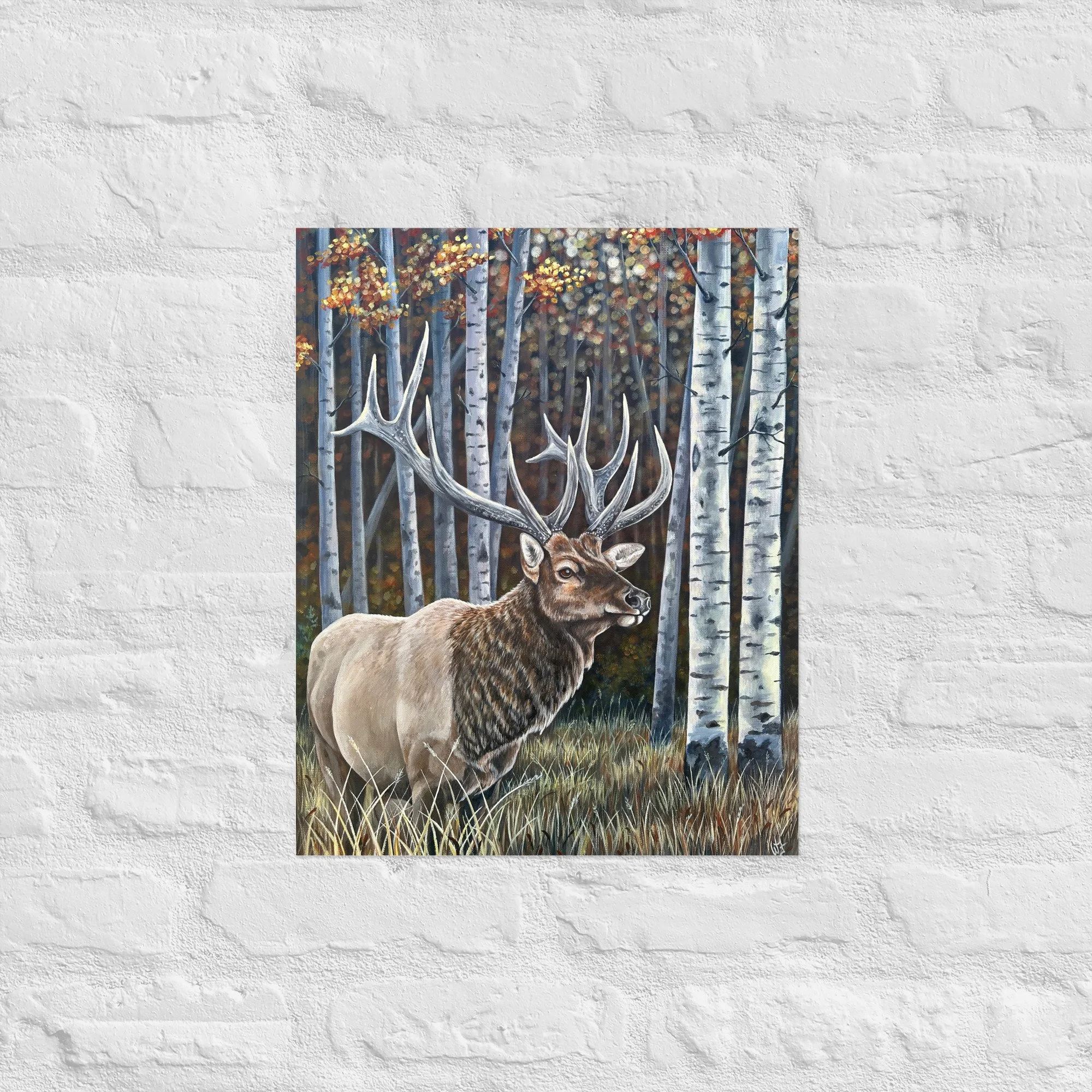 enhanced-matte-paper-poster-(in)-16x20-front-6a6ba0d3bcd64.jpg
